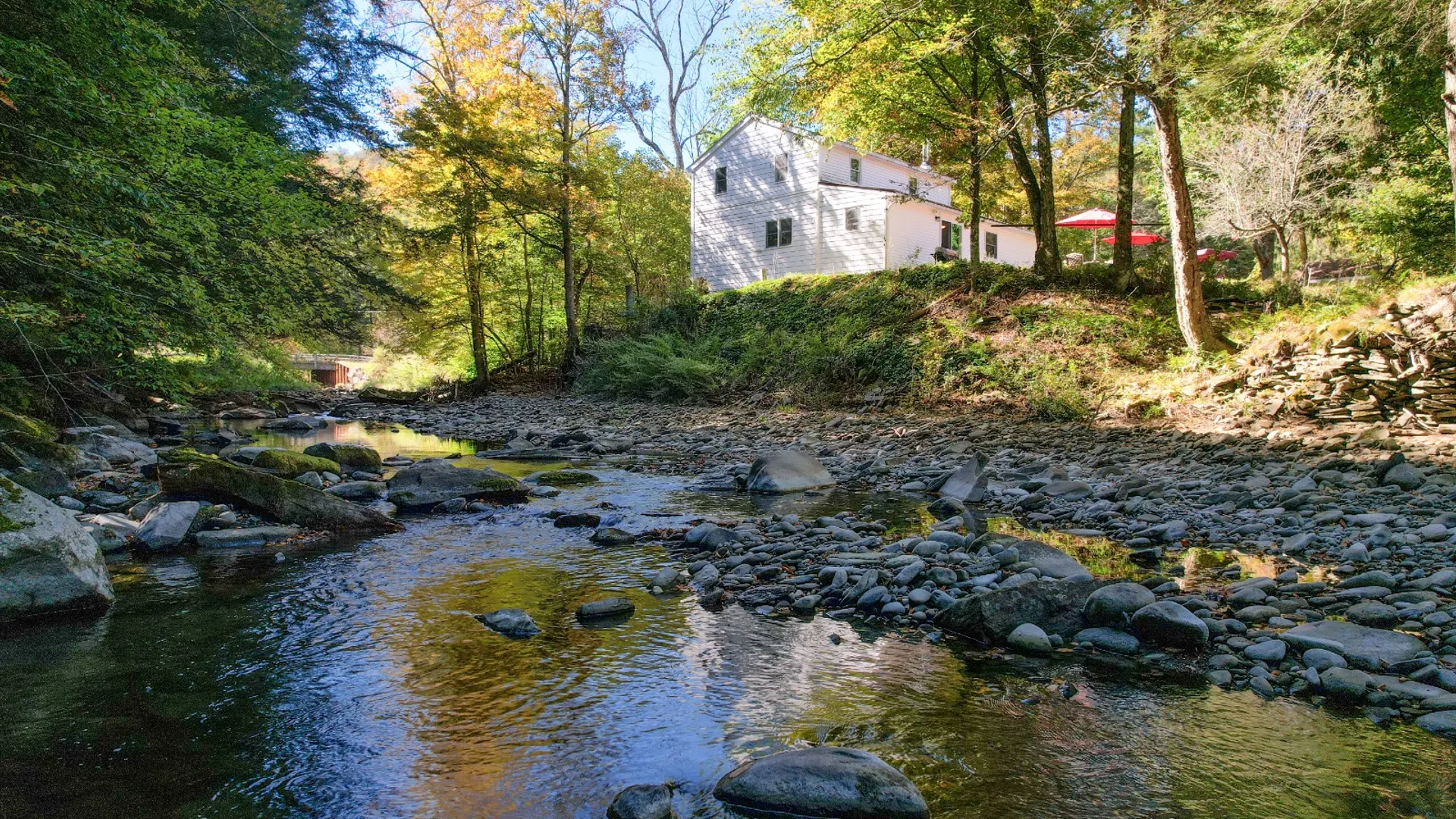 Property at 423 Burnwood Rd, East Branch, NY 13756 39