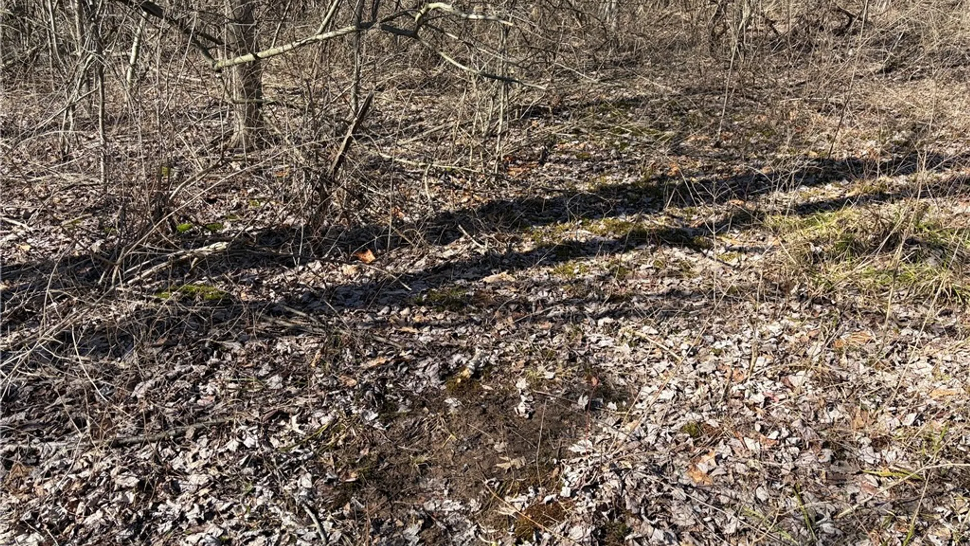 Property at W Somerset Road, Somerset, NY 14012 11