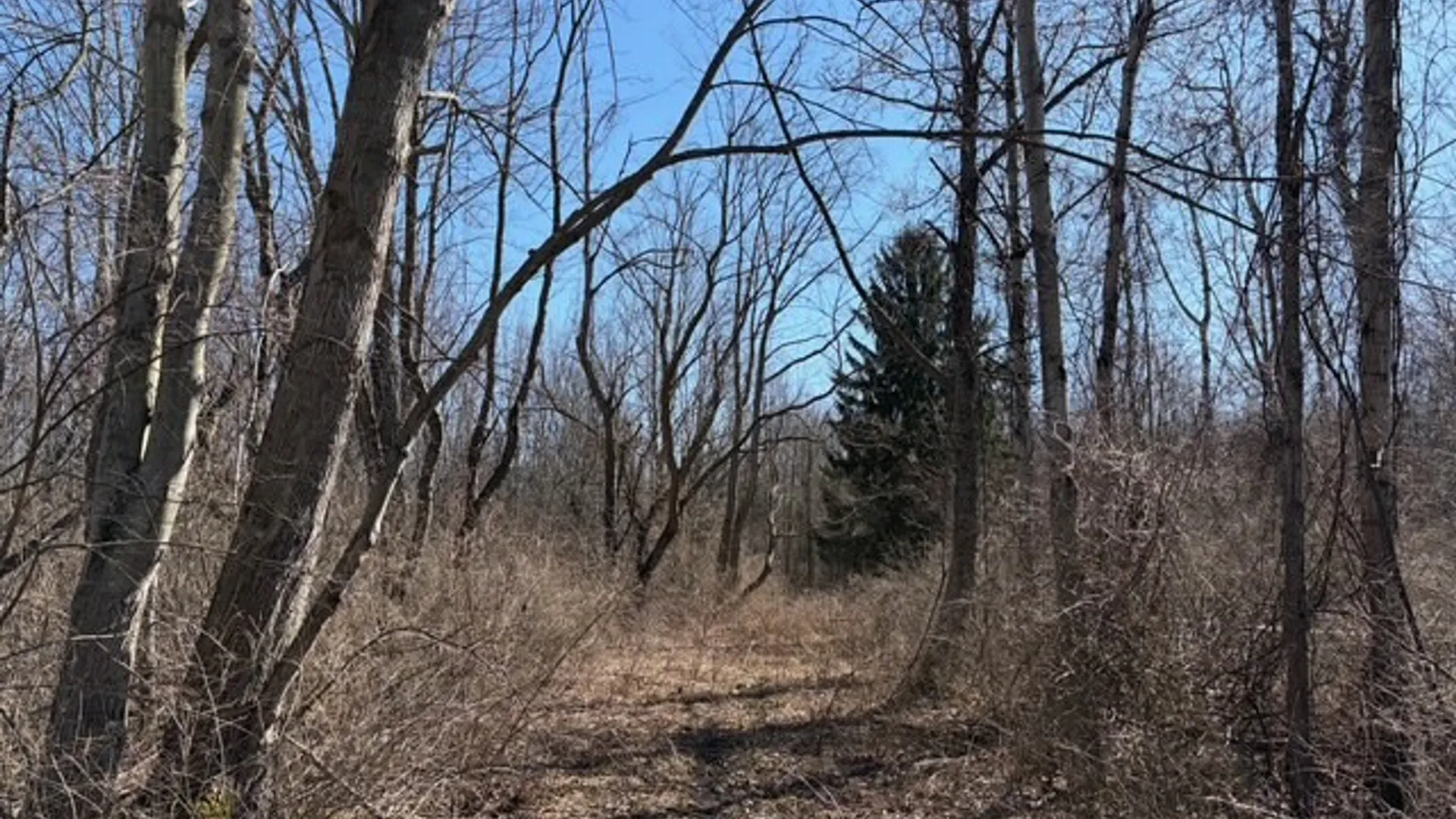 Property at W Somerset Road, Somerset, NY 14012 13