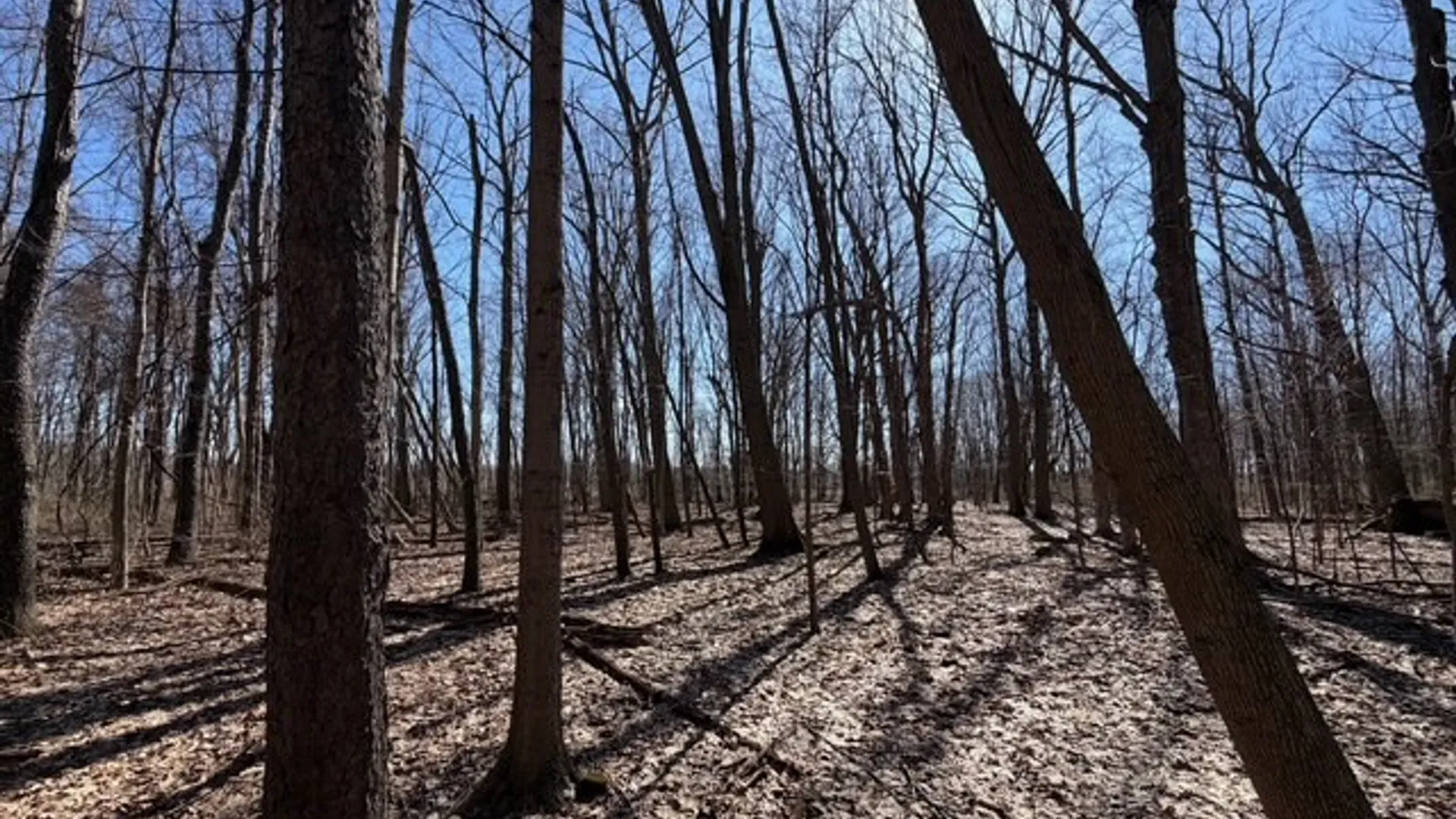 Property at W Somerset Road, Somerset, NY 14012 14