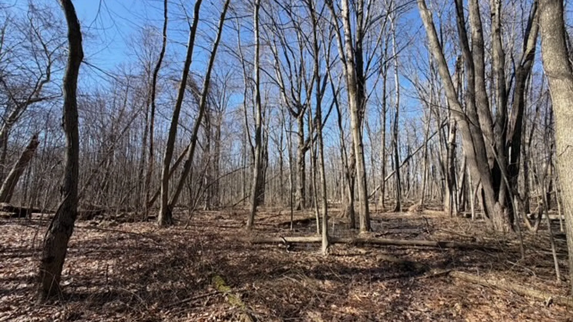 Property at W Somerset Road, Somerset, NY 14012 15