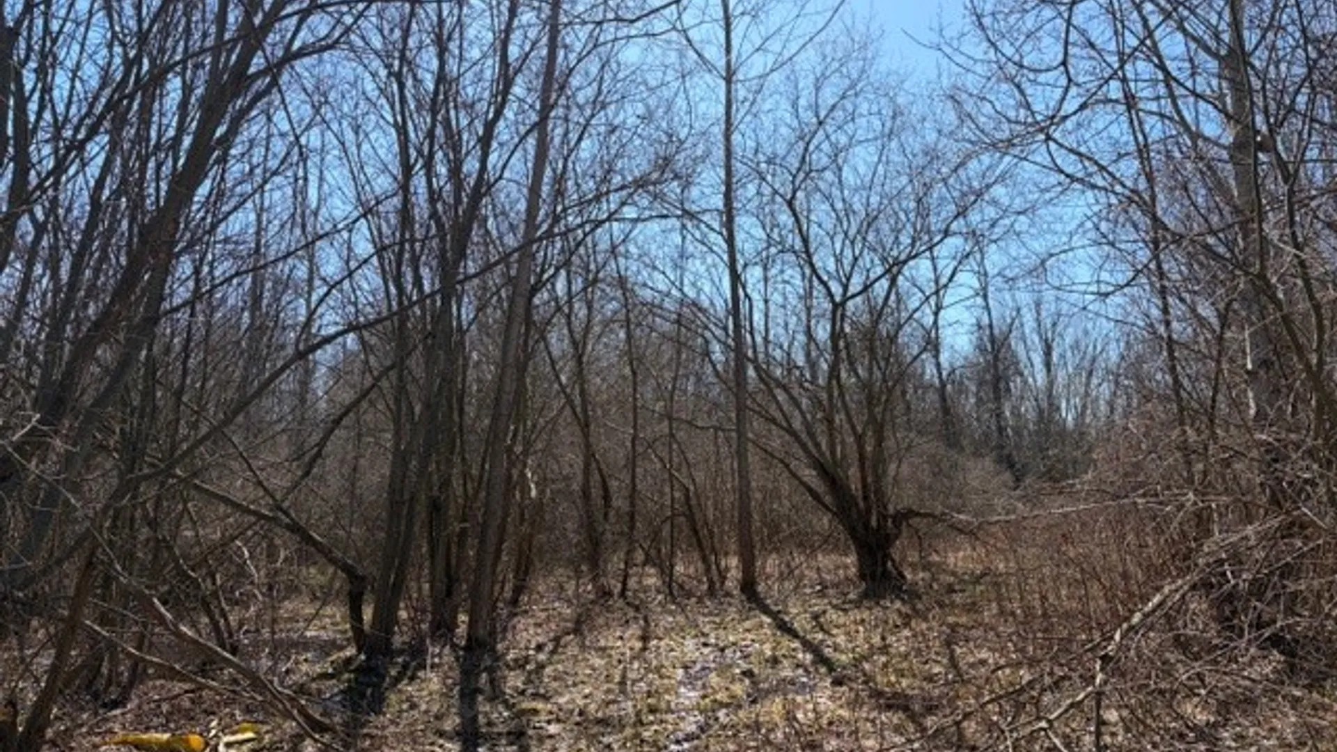 Property at W Somerset Road, Somerset, NY 14012 17