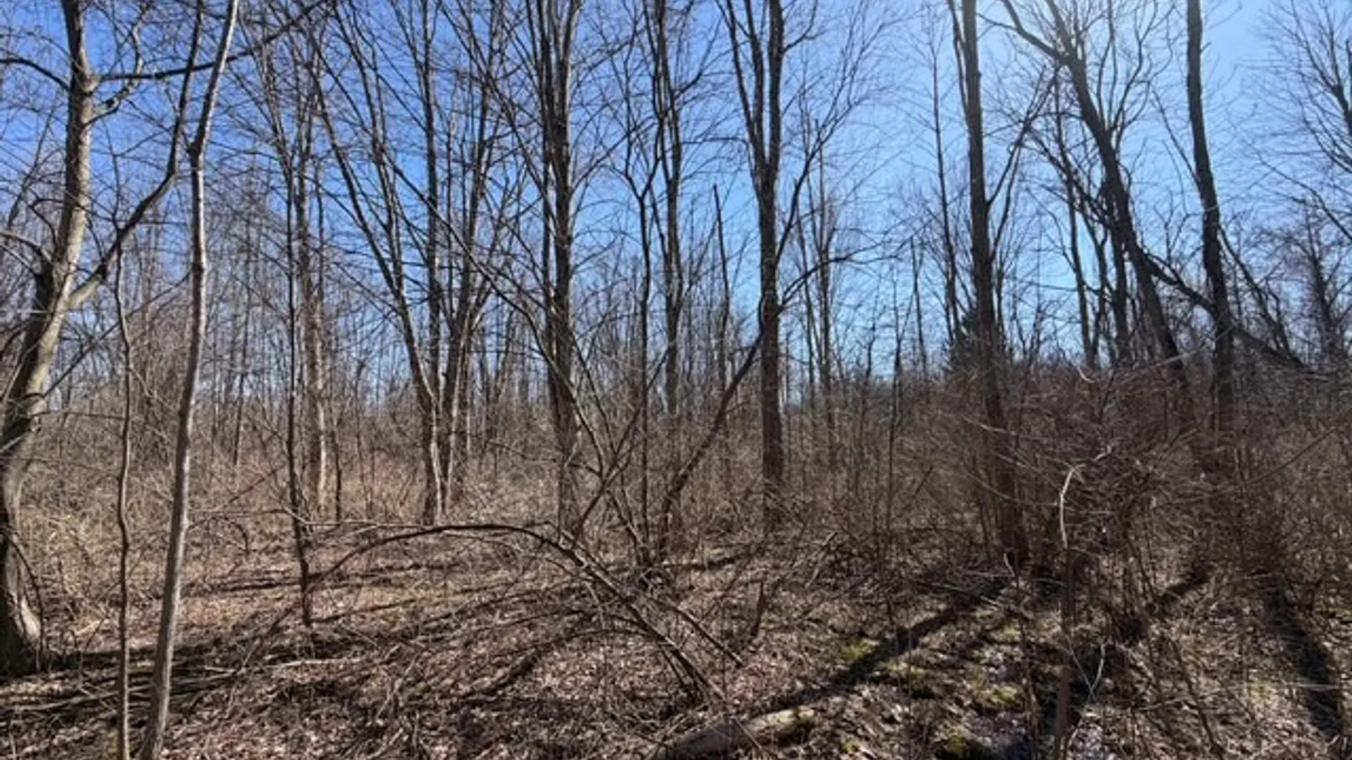 Property at W Somerset Road, Somerset, NY 14012 18