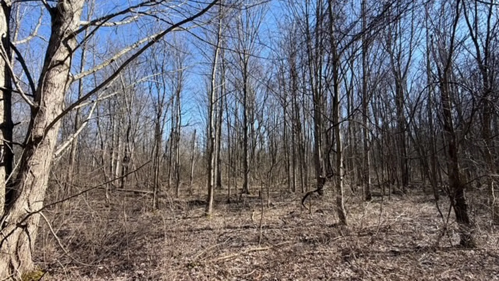 Property at W Somerset Road, Somerset, NY 14012 2