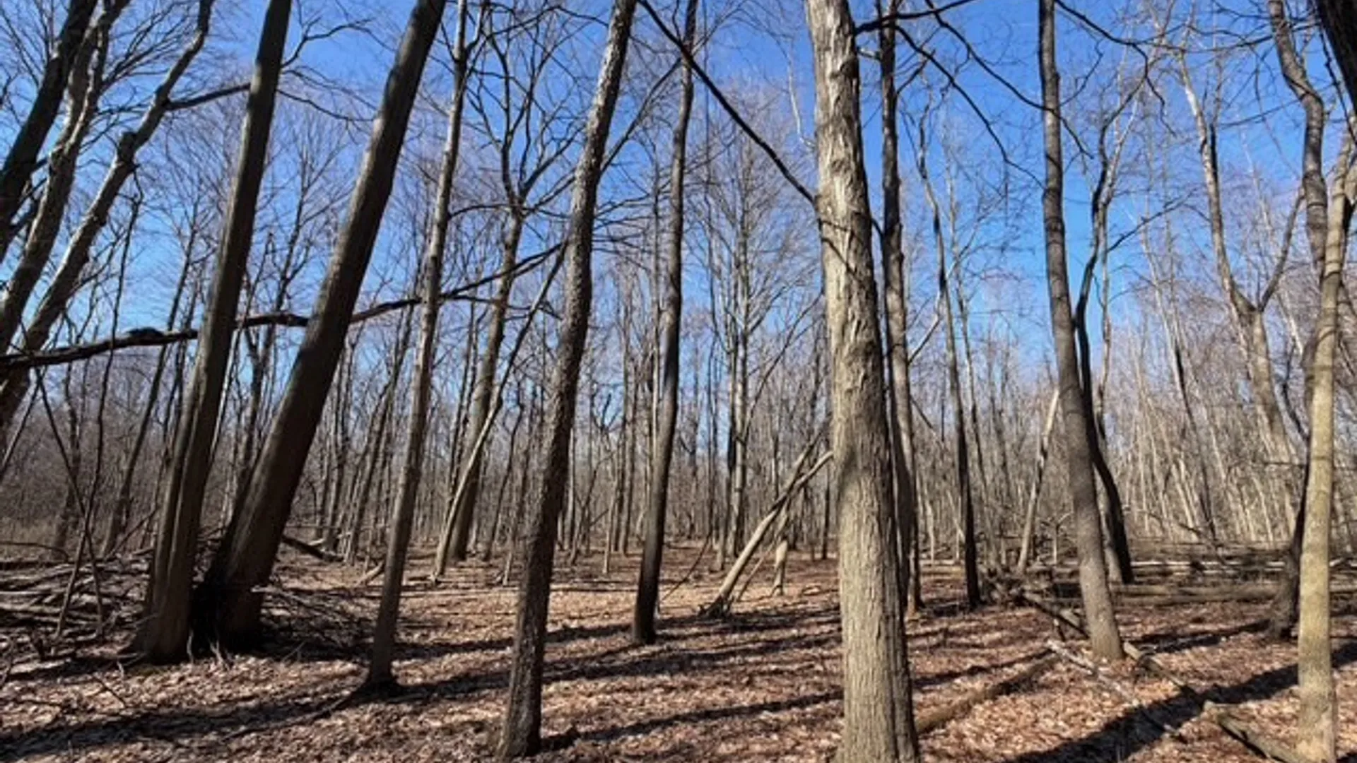 Property at W Somerset Road, Somerset, NY 14012 3