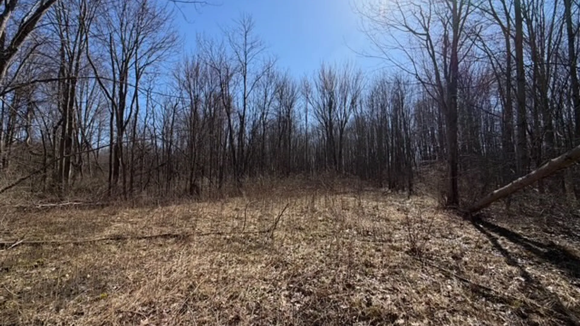 Property at W Somerset Road, Somerset, NY 14012 4
