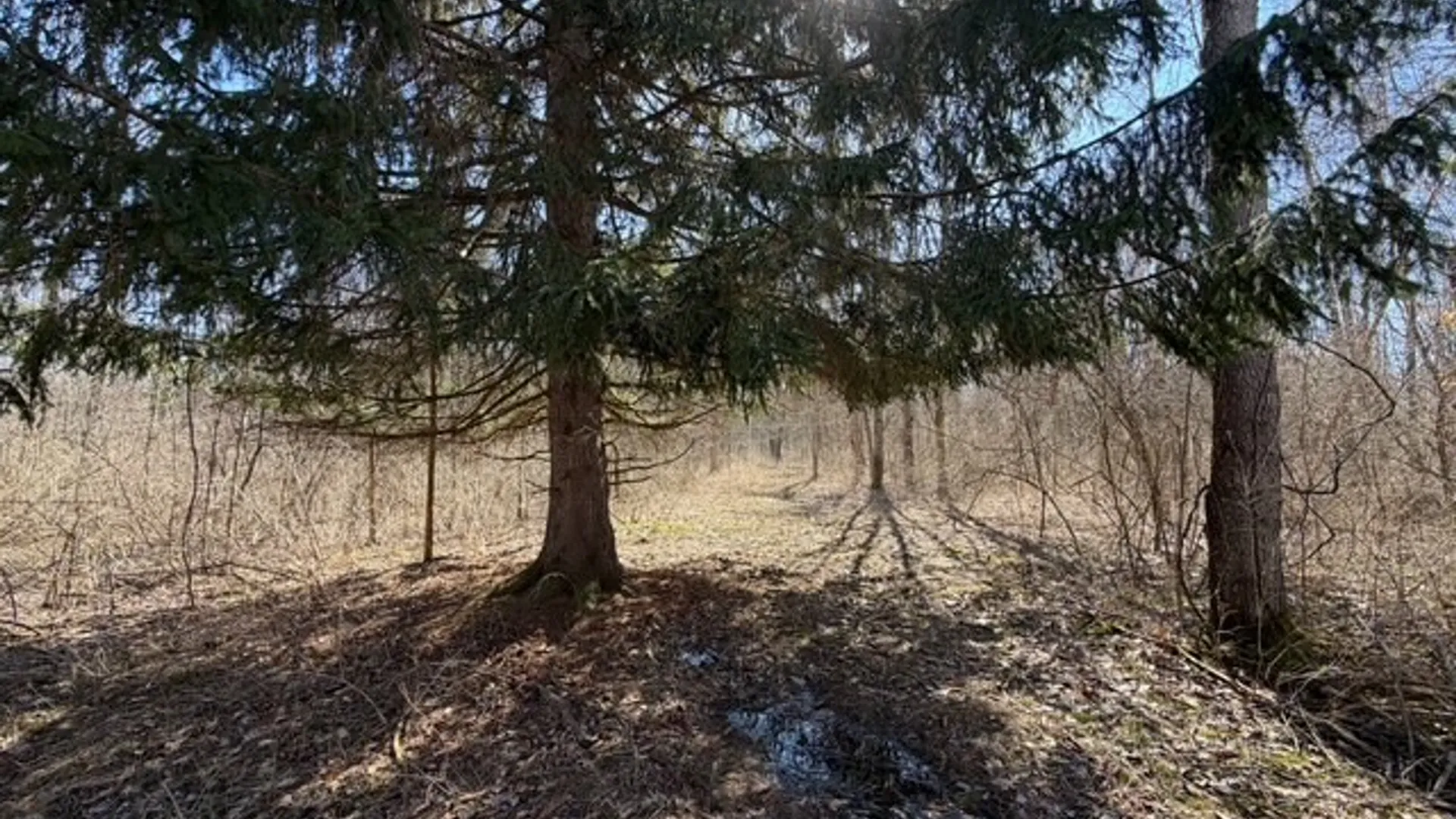 Property at W Somerset Road, Somerset, NY 14012 6