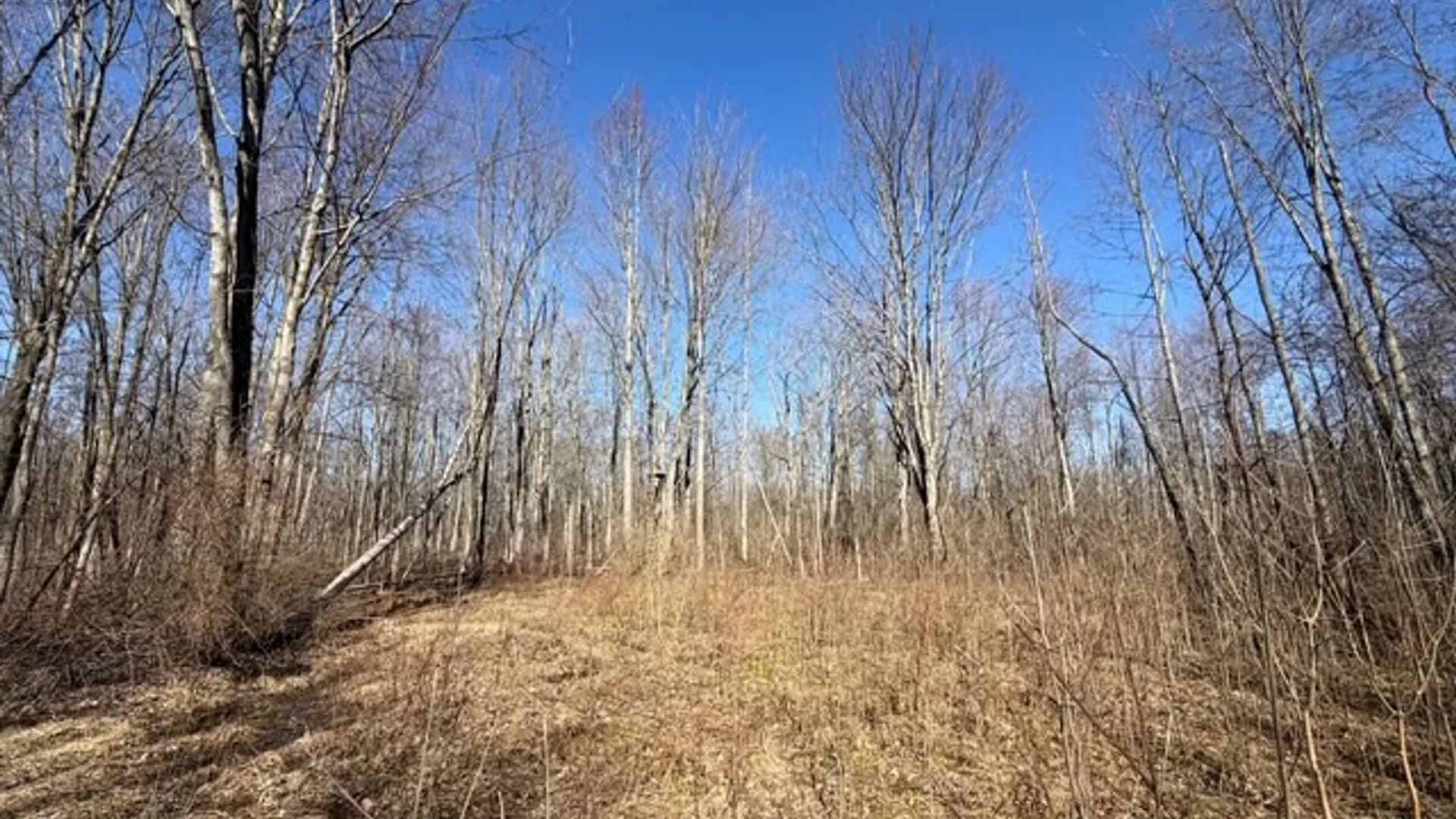 Property at W Somerset Road, Somerset, NY 14012 8