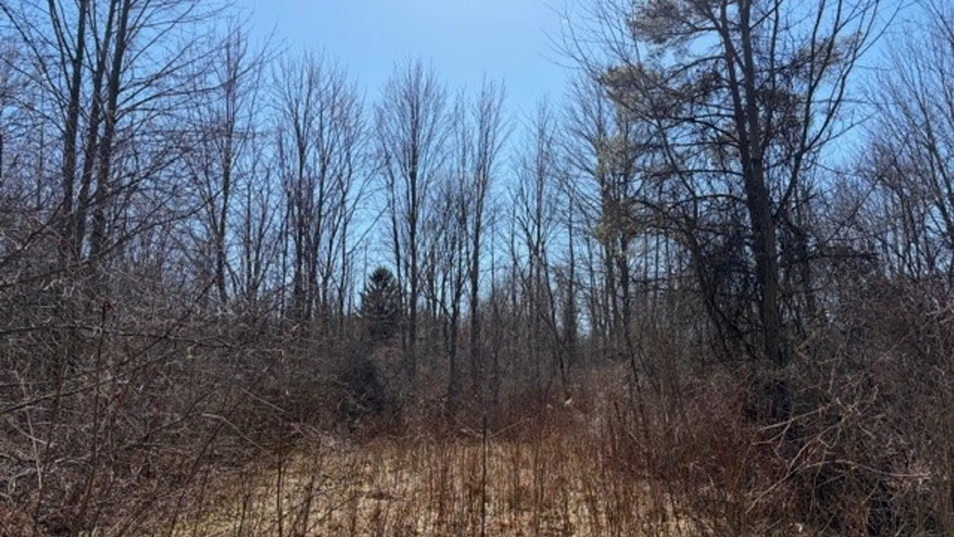 Property at W Somerset Road, Somerset, NY 14012 9