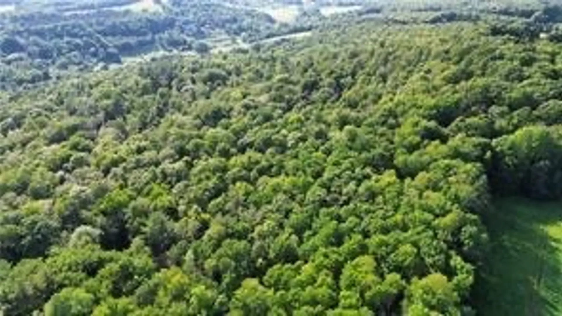 Property at County Highway 6, Otego, NY 13825 10