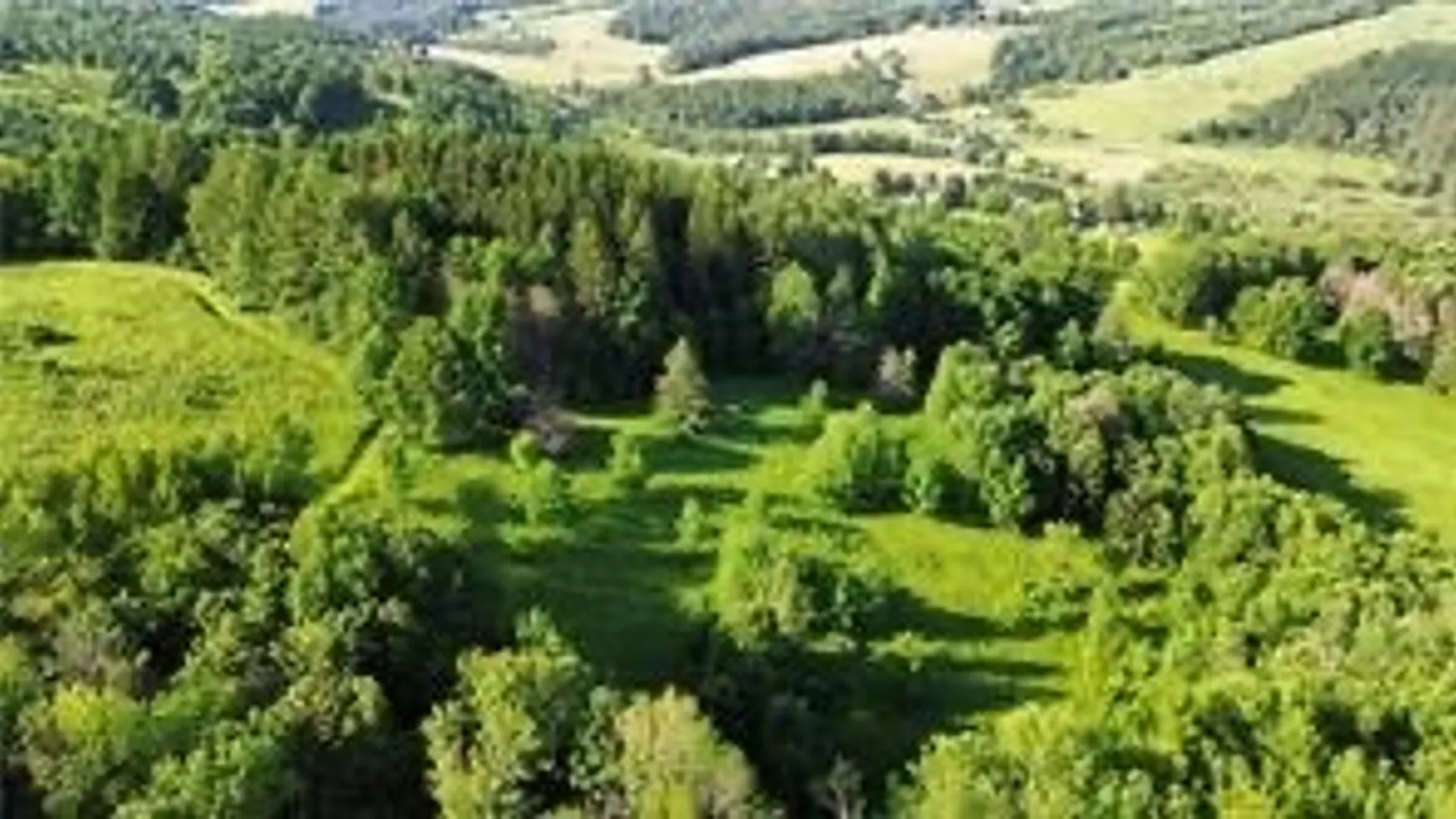 Property at County Highway 6, Otego, NY 13825 11