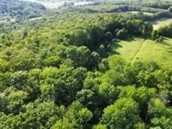 Property at County Highway 6, Otego, NY 13825