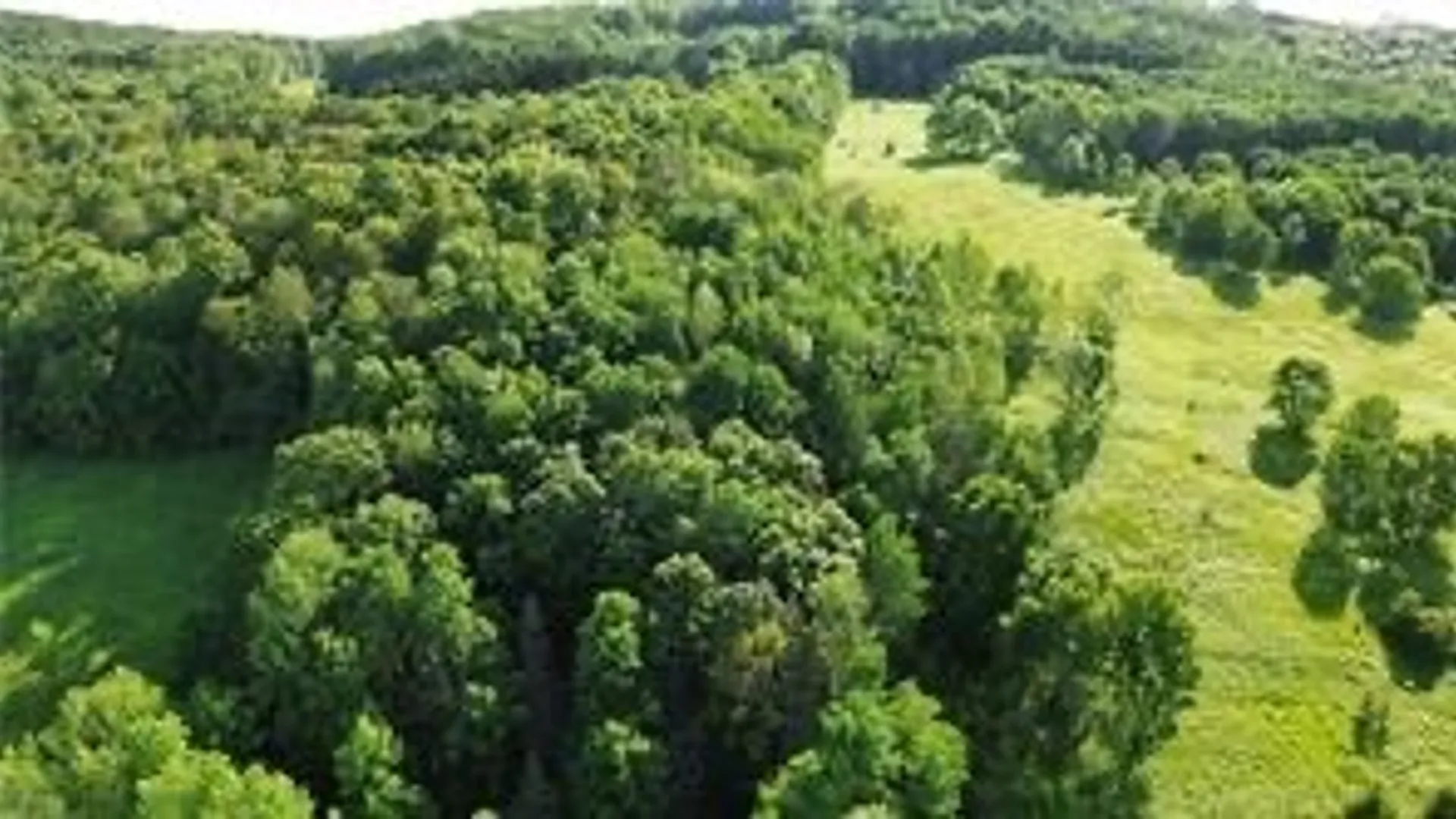 Property at County Highway 6, Otego, NY 13825 2