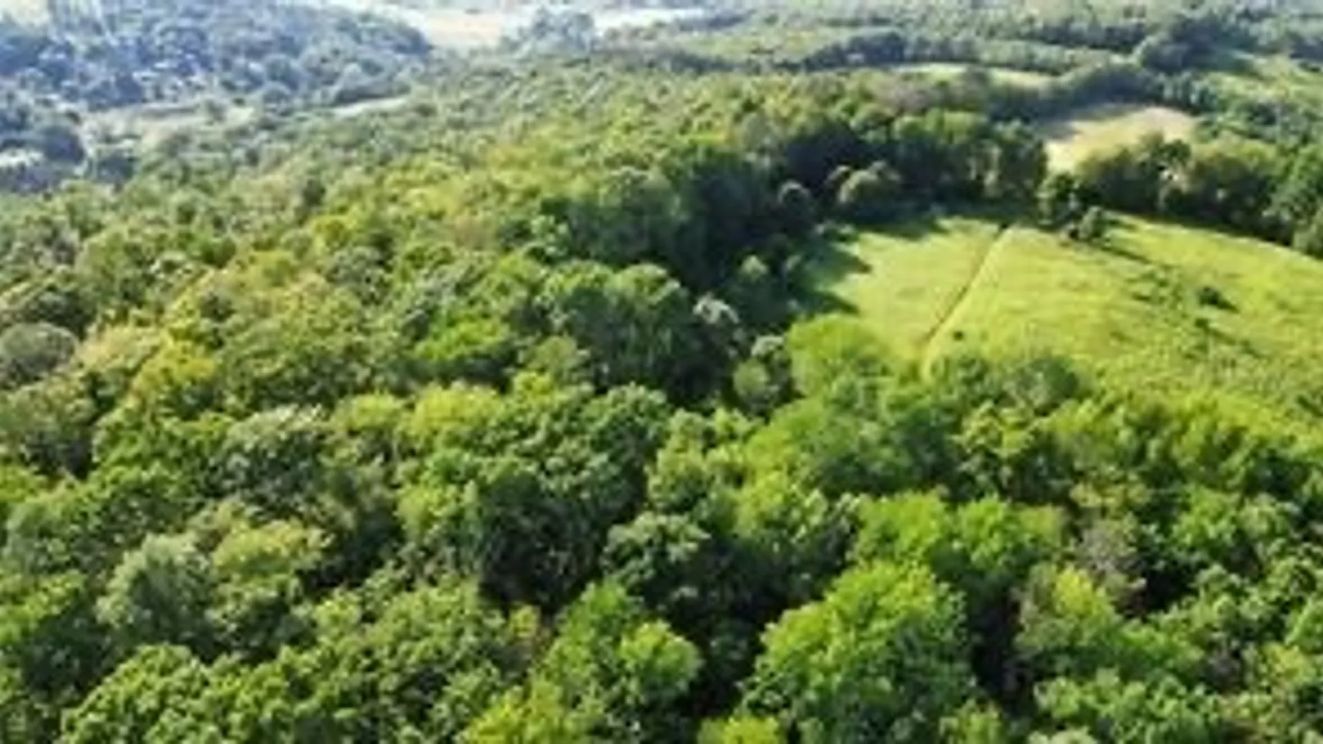 Property at County Highway 6, Otego, NY 13825 3