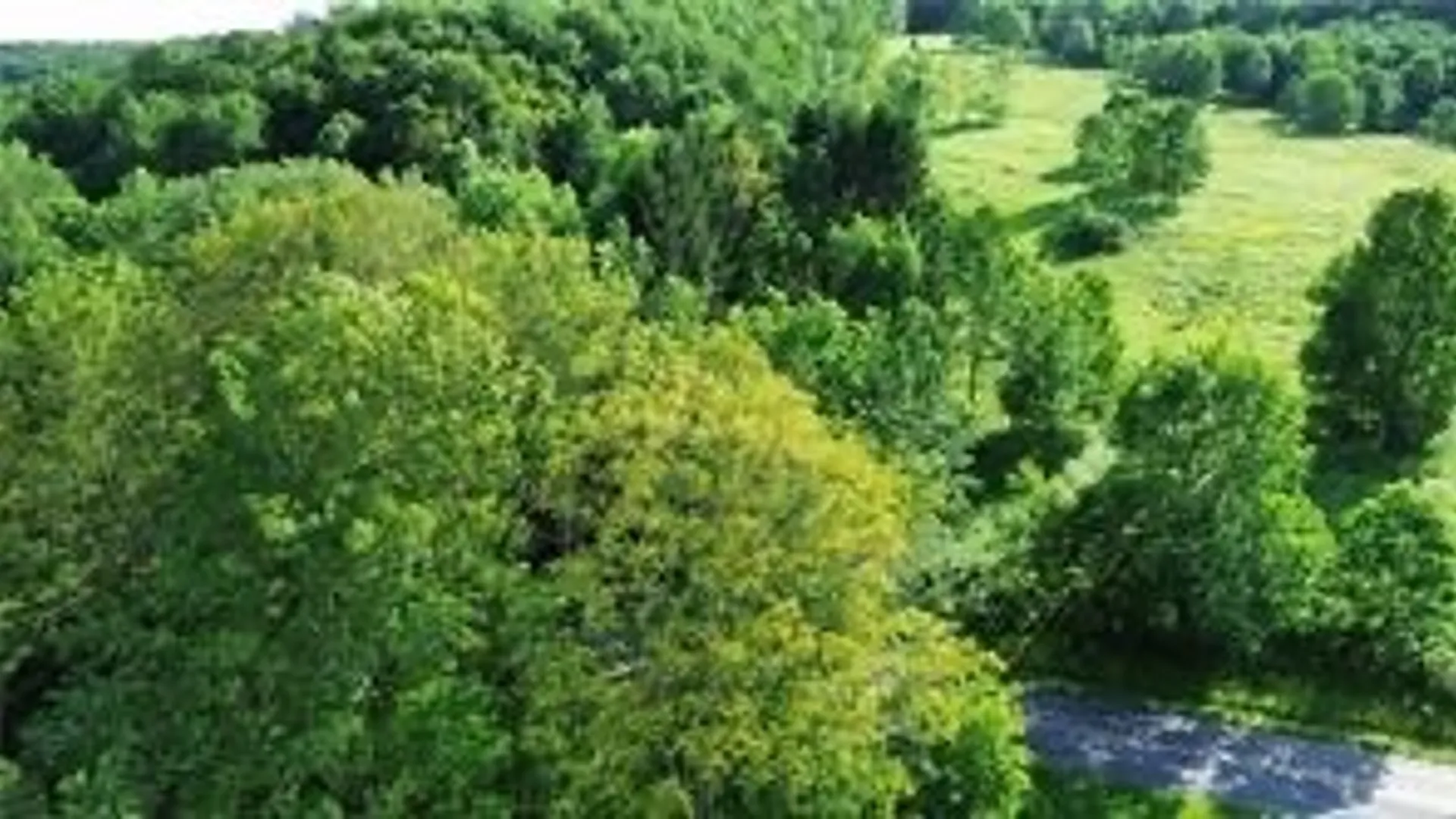 Property at County Highway 6, Otego, NY 13825 5