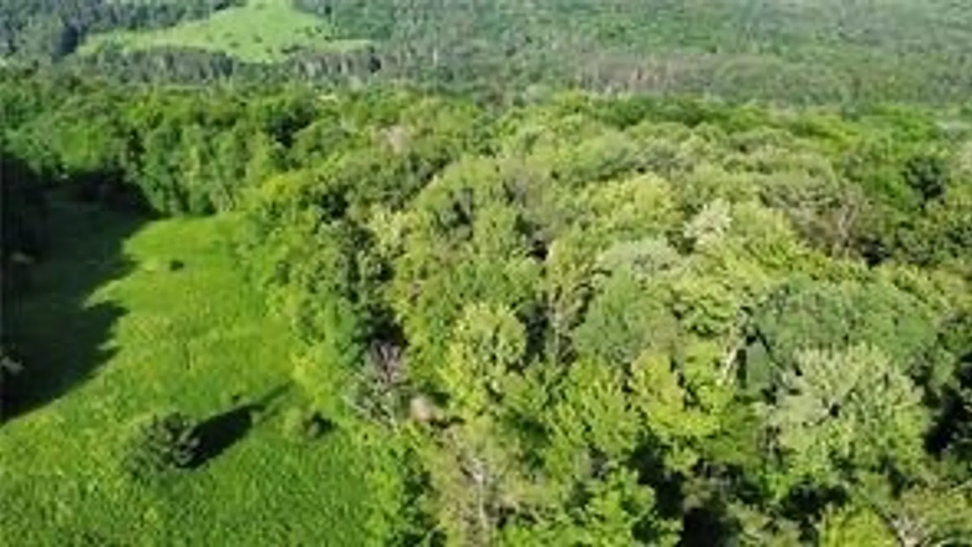 Property at County Highway 6, Otego, NY 13825 6