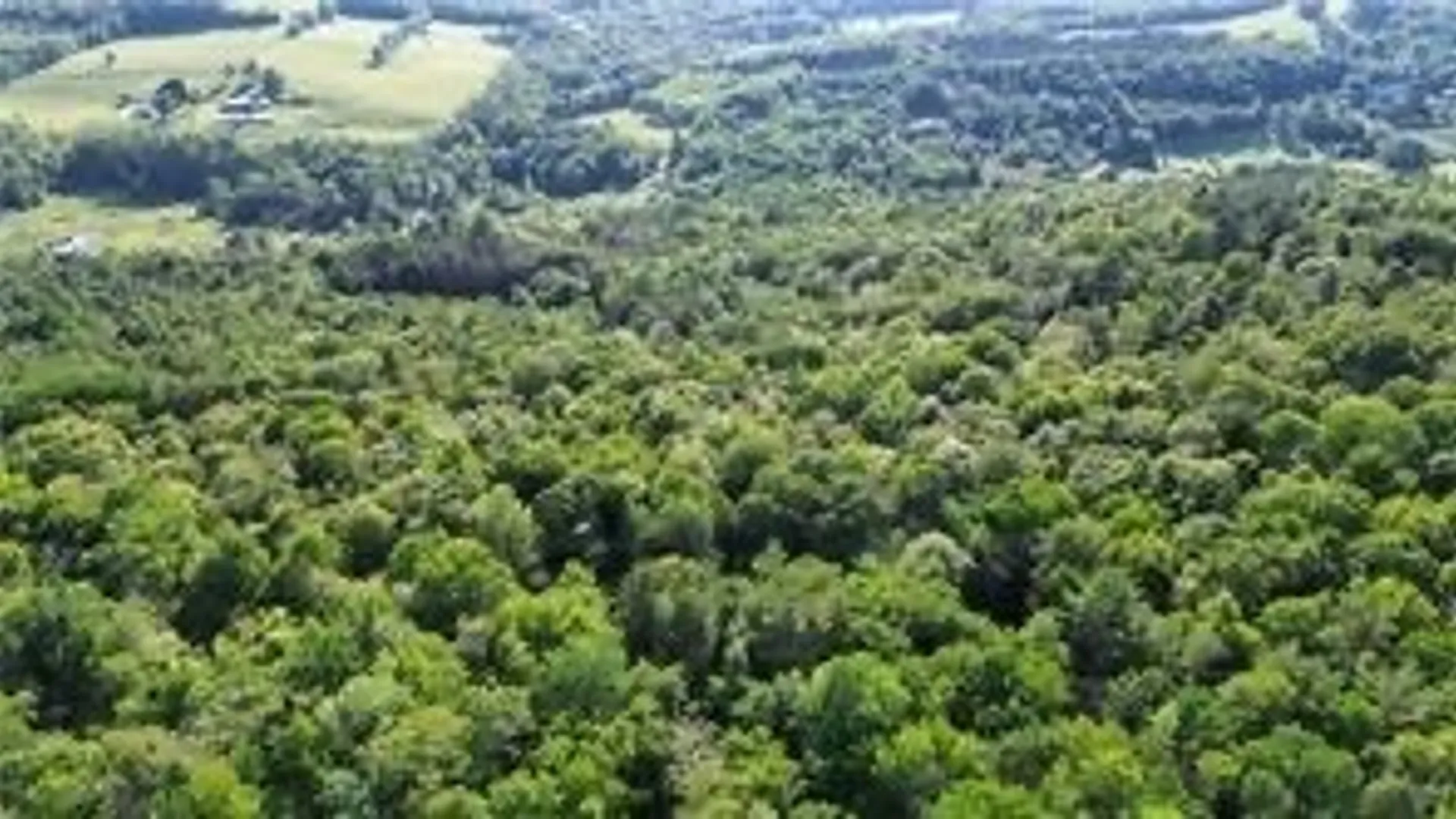 Property at County Highway 6, Otego, NY 13825 7