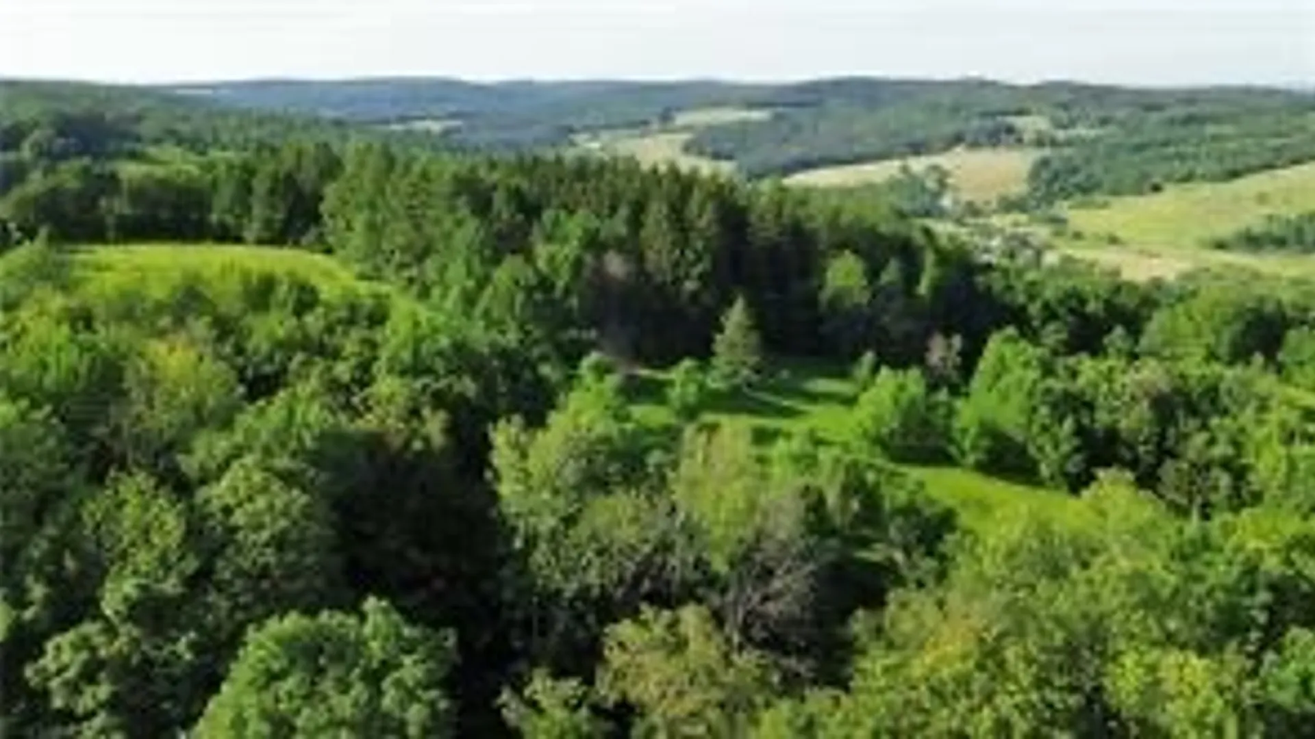 Property at County Highway 6, Otego, NY 13825 8