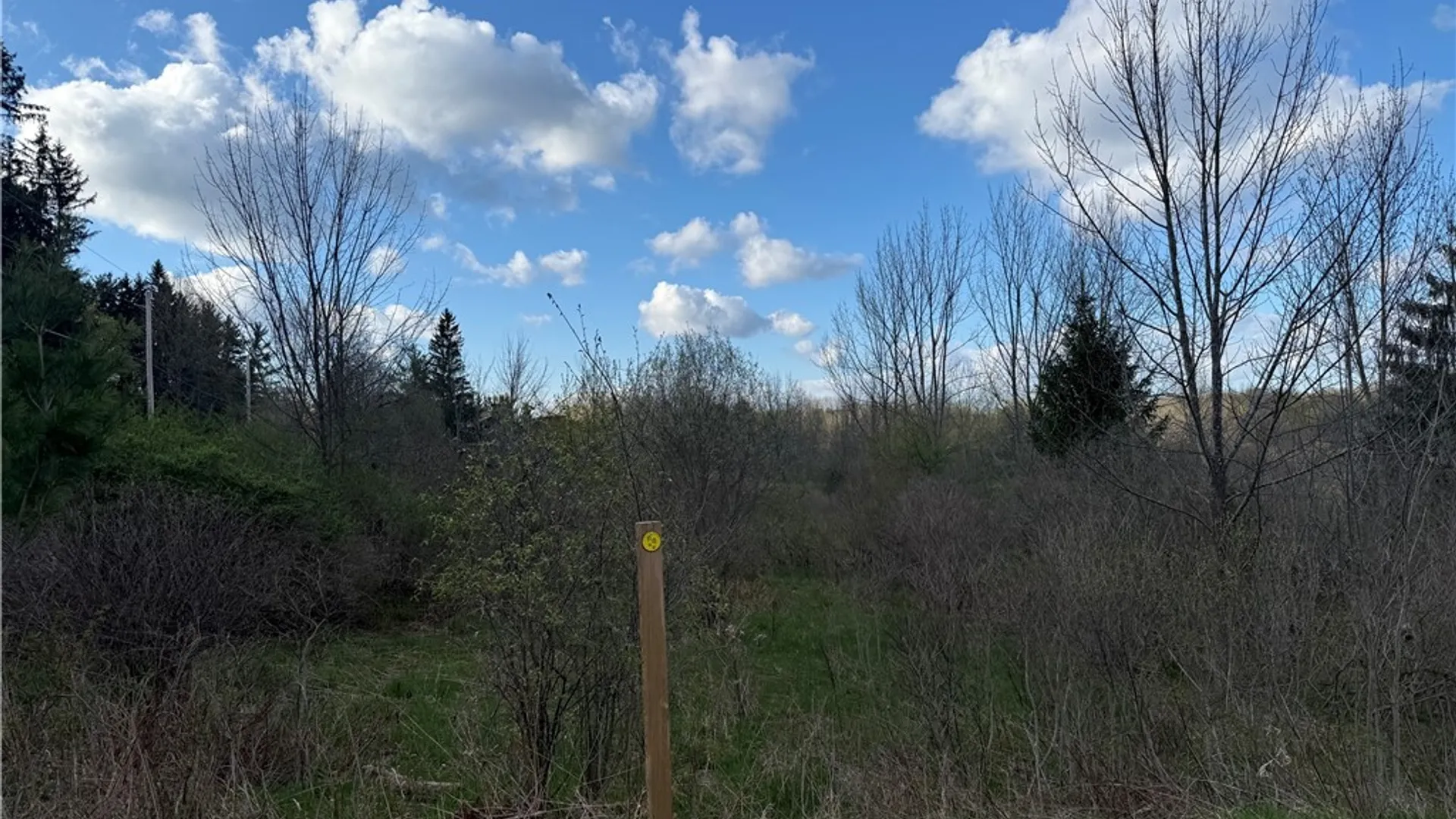 Property at 0 Hubbard Road, Aurora, NY 14052 10