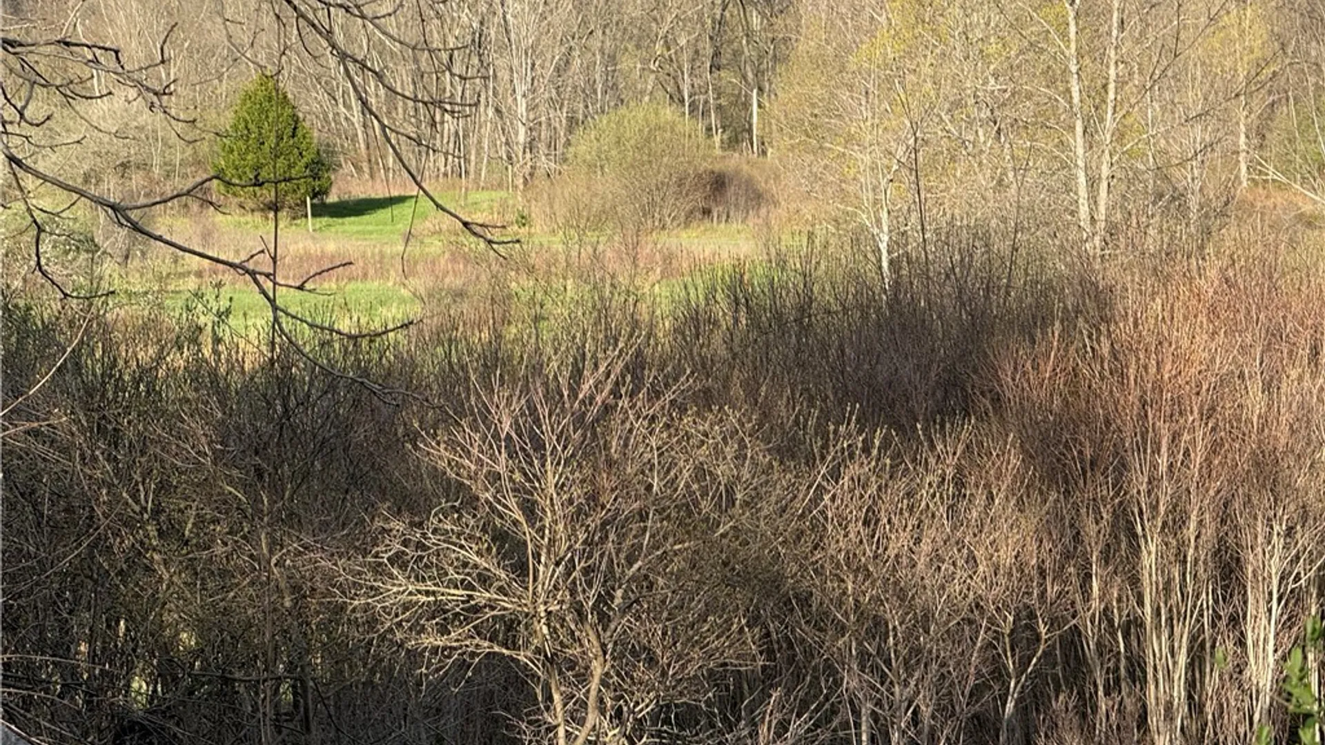 Property at 0 Hubbard Road, Aurora, NY 14052 3