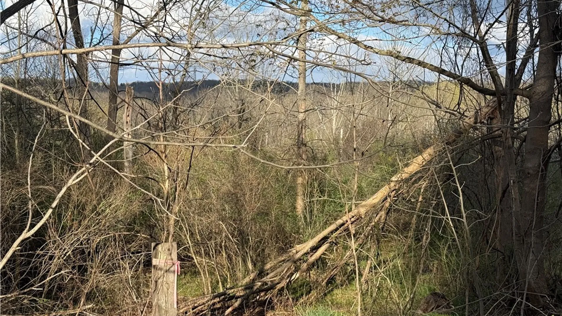 Property at 0 Hubbard Road, Aurora, NY 14052 7