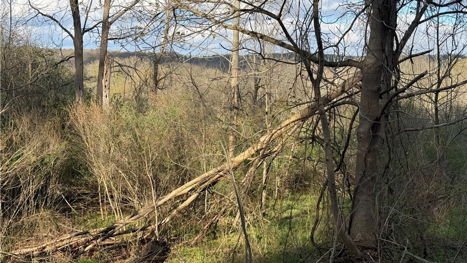 Property at 0 Hubbard Road, Aurora, NY 14052 8