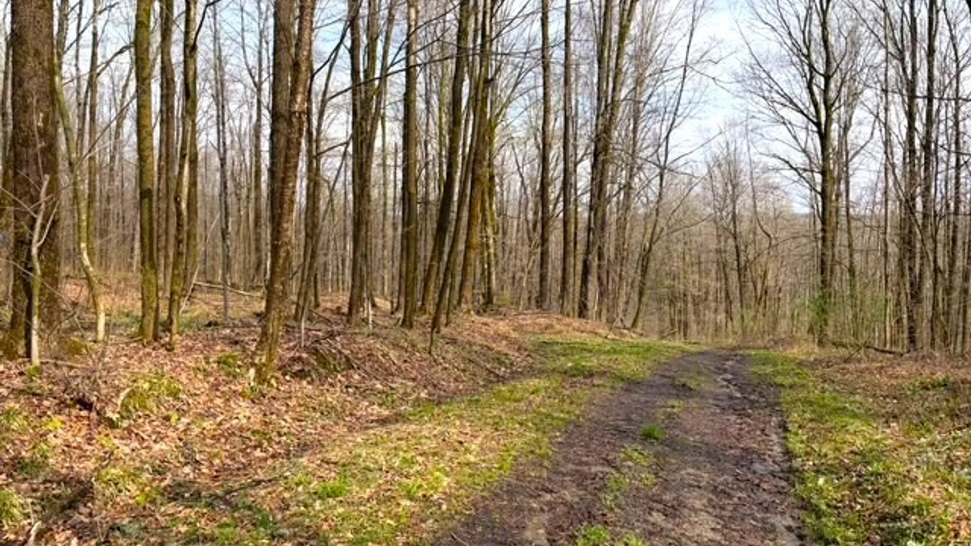 Property at 1700 28th Creek Road, Ellington, NY 14733 8