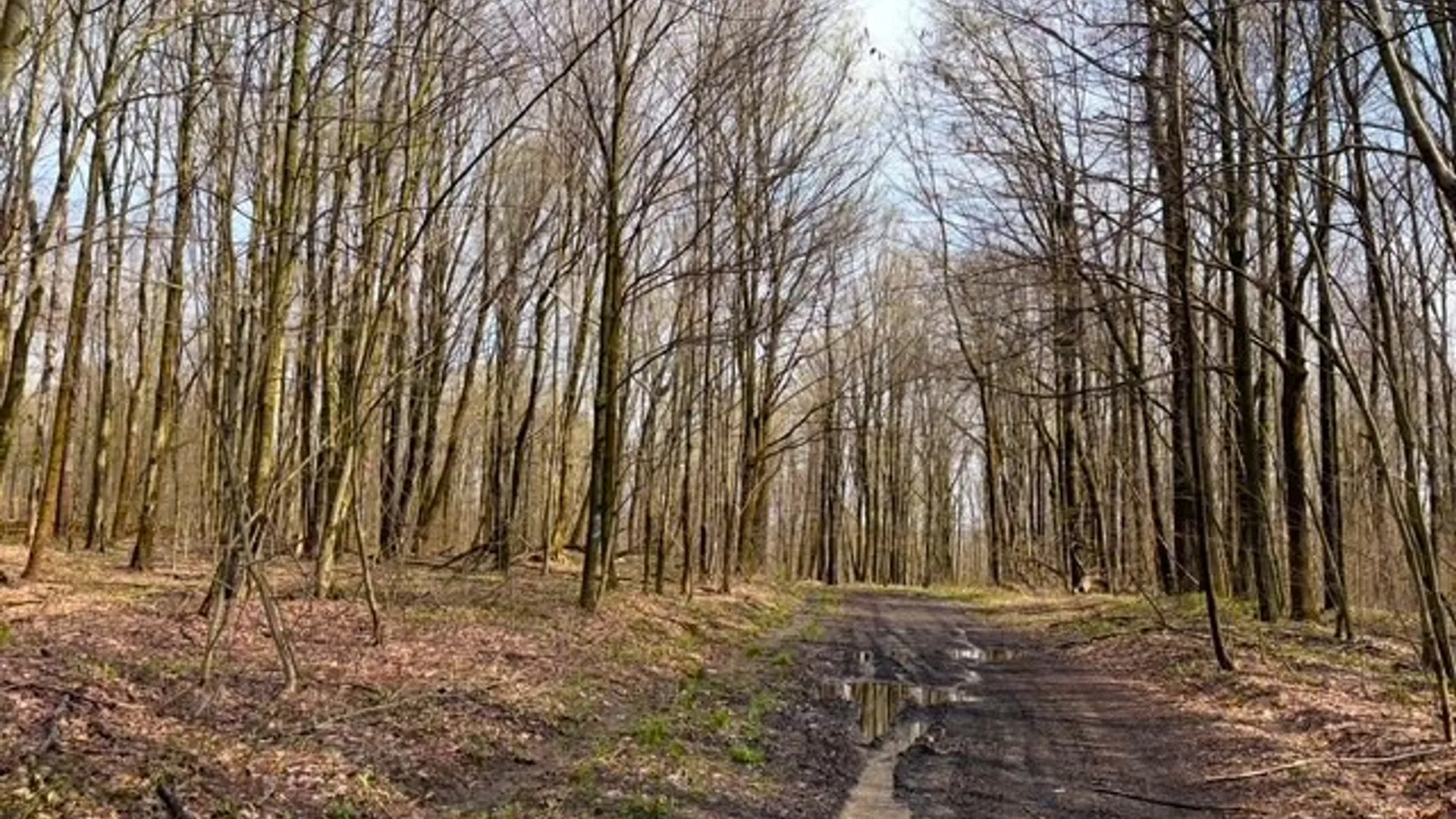 Property at 1700 28th Creek Road, Ellington, NY 14733 9