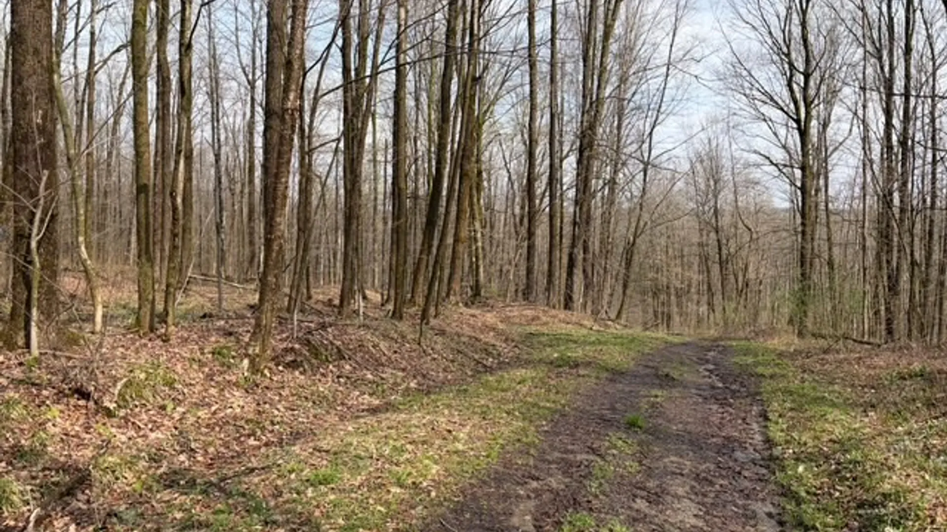 Property at 1700 28th Creek Road, Ellington, NY 14733 10