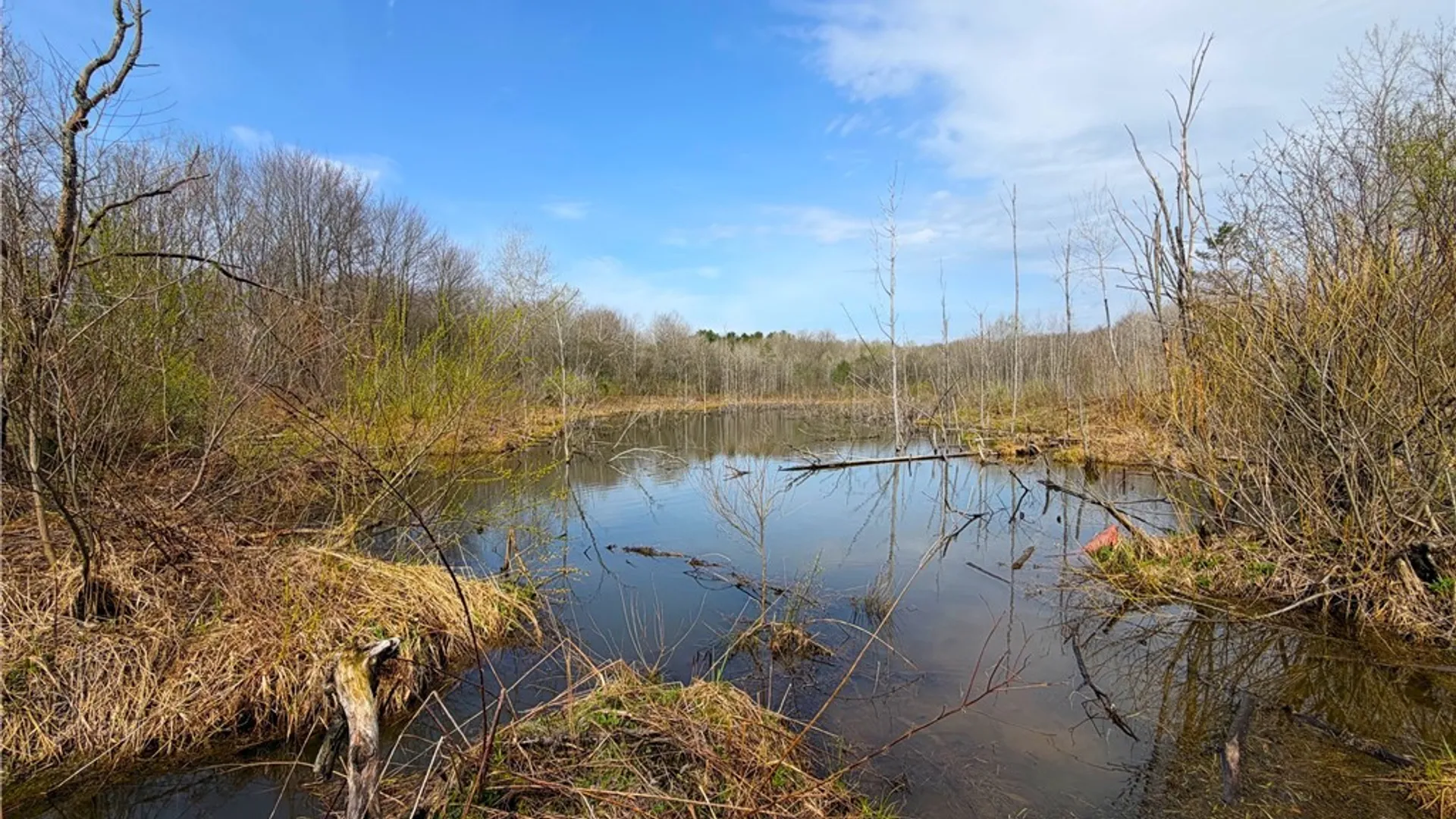 Property at 1700 28th Creek Road, Ellington, NY 14733 11