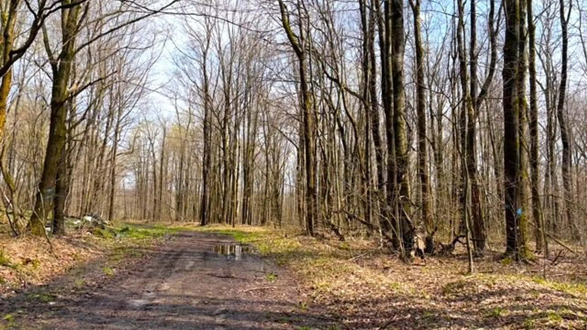 1700 28th Creek Road, Ellington, NY 14733