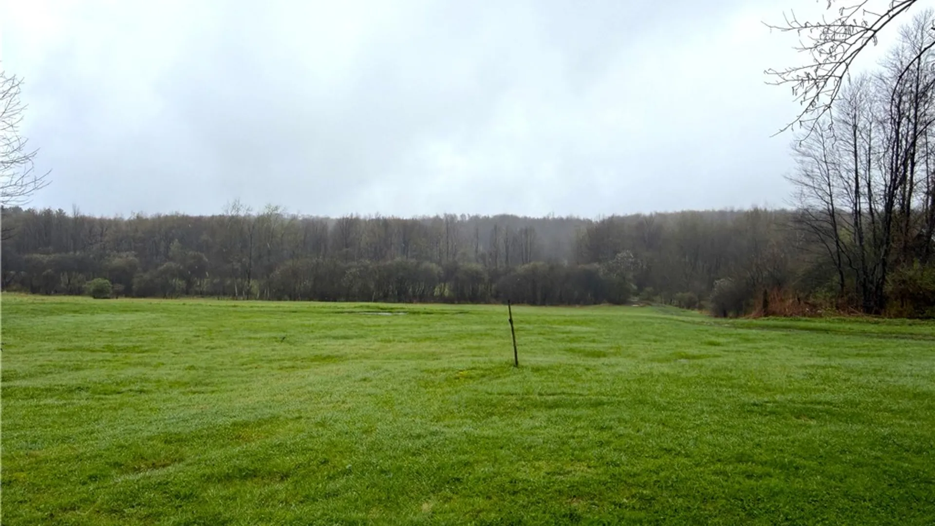 Property at 1700 28th Creek Road, Ellington, NY 14733 2