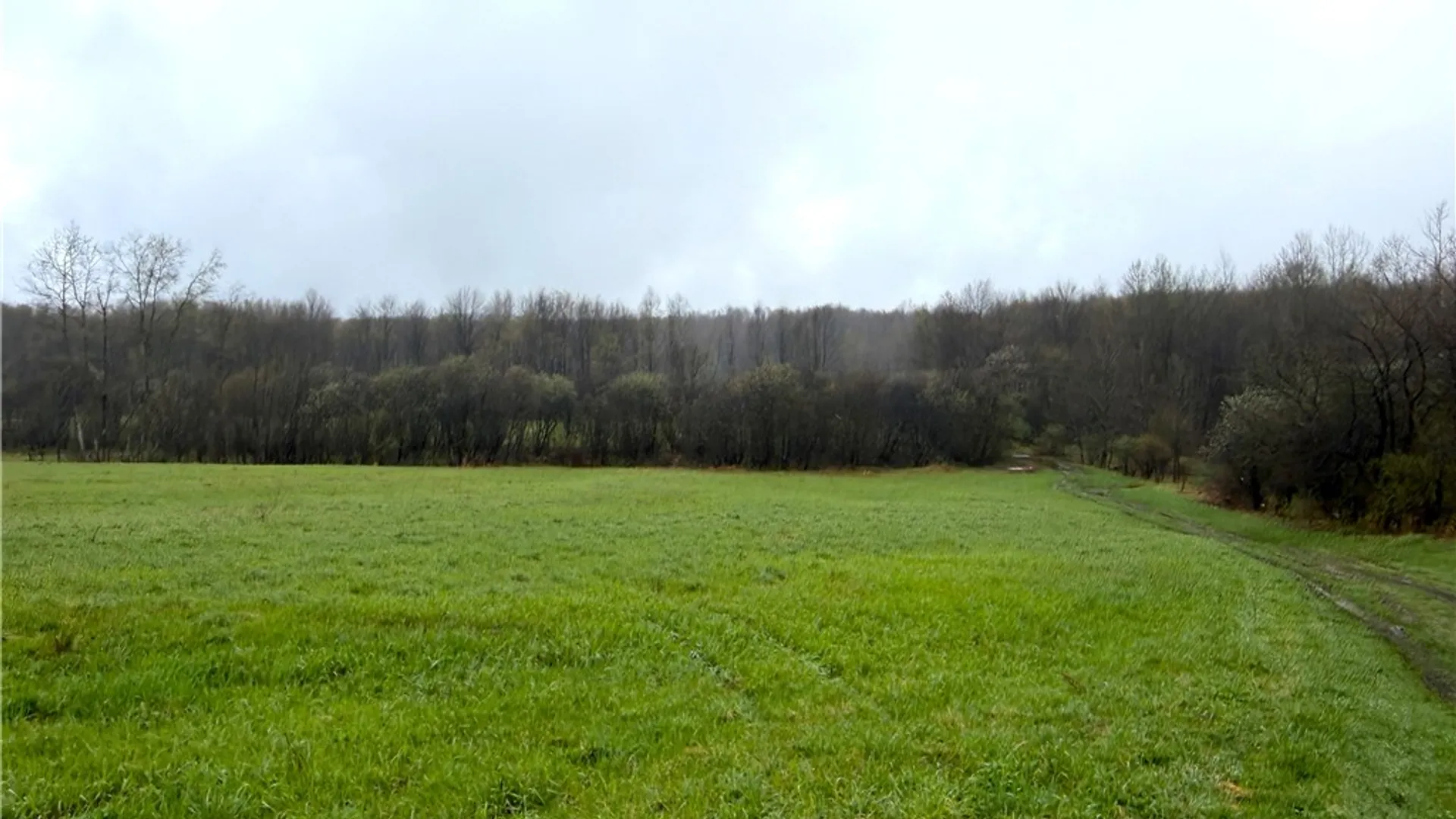 Property at 1700 28th Creek Road, Ellington, NY 14733 3