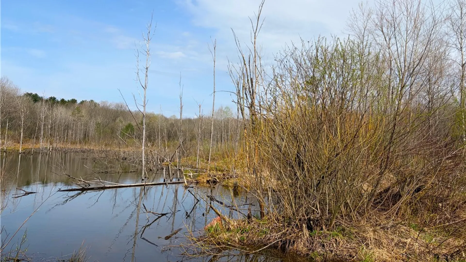 Property at 1700 28th Creek Road, Ellington, NY 14733 5