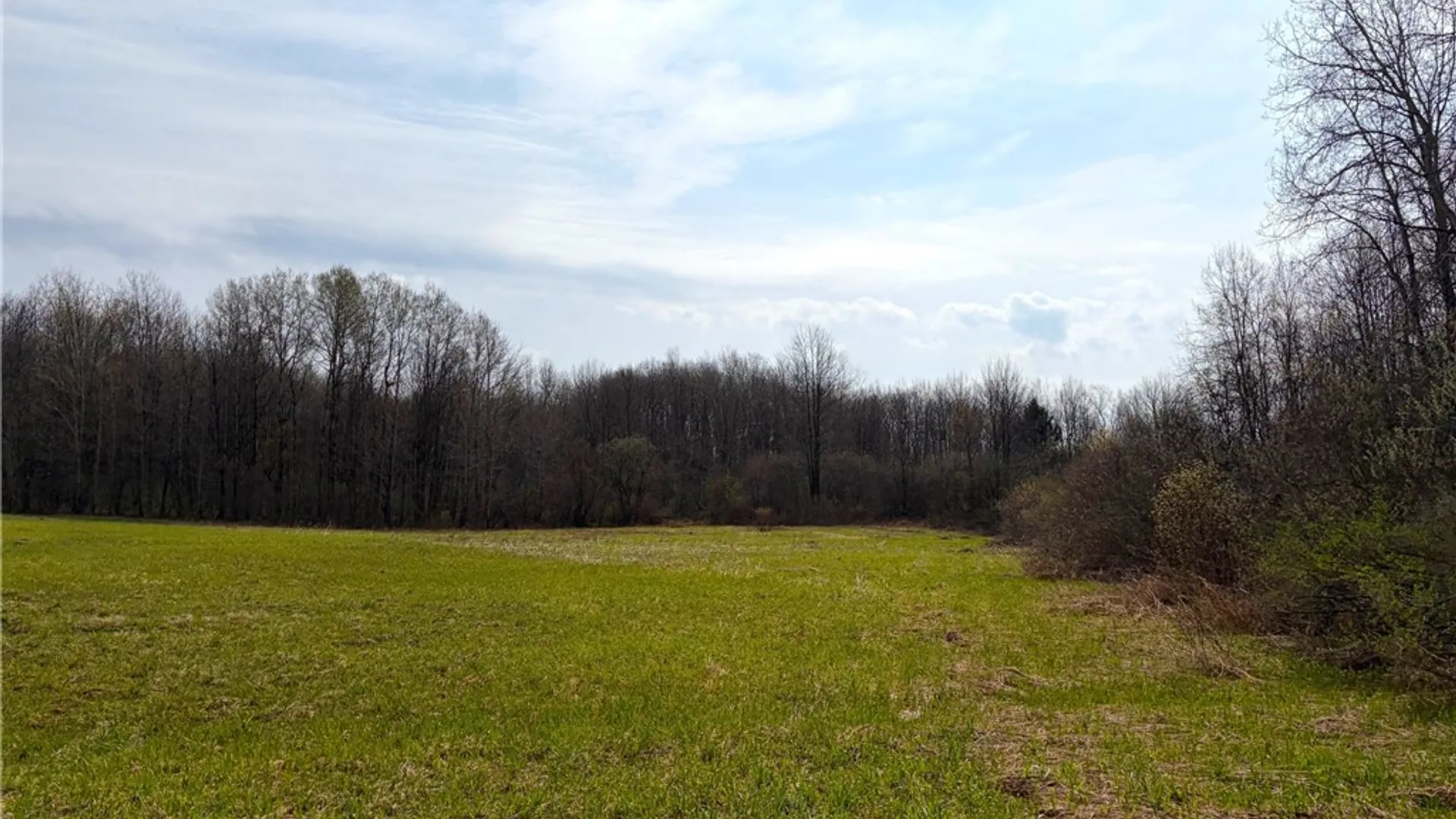 Property at 1700 28th Creek Road, Ellington, NY 14733 6