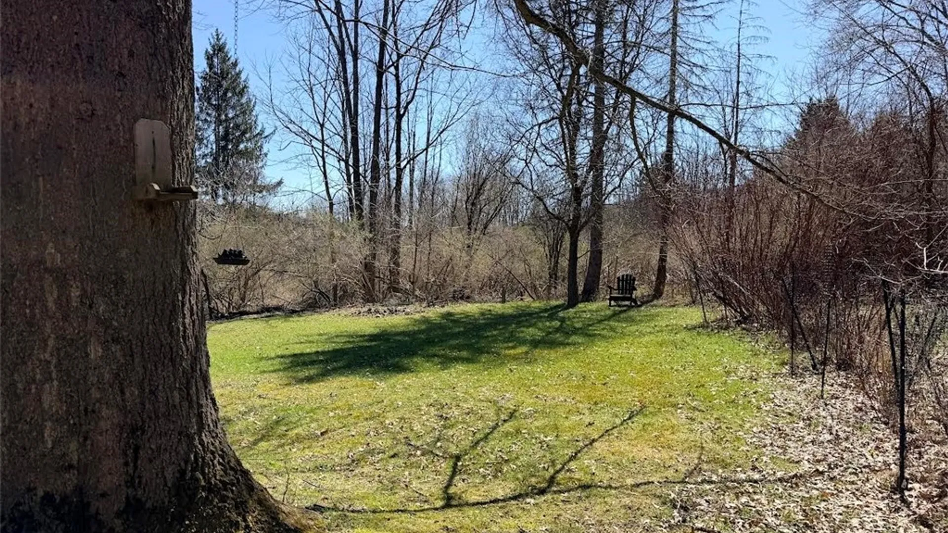 Property at 3 Greene AKA Green Street, Alfred, NY 14802 37