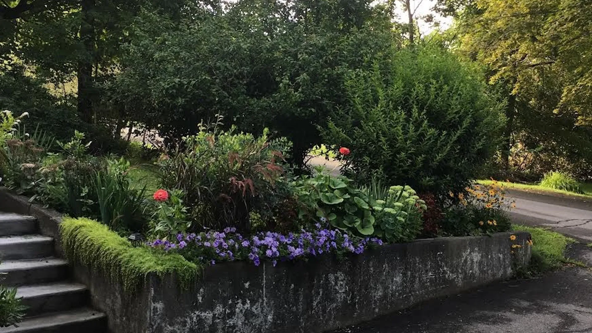 Property at 3 Greene AKA Green Street, Alfred, NY 14802 44