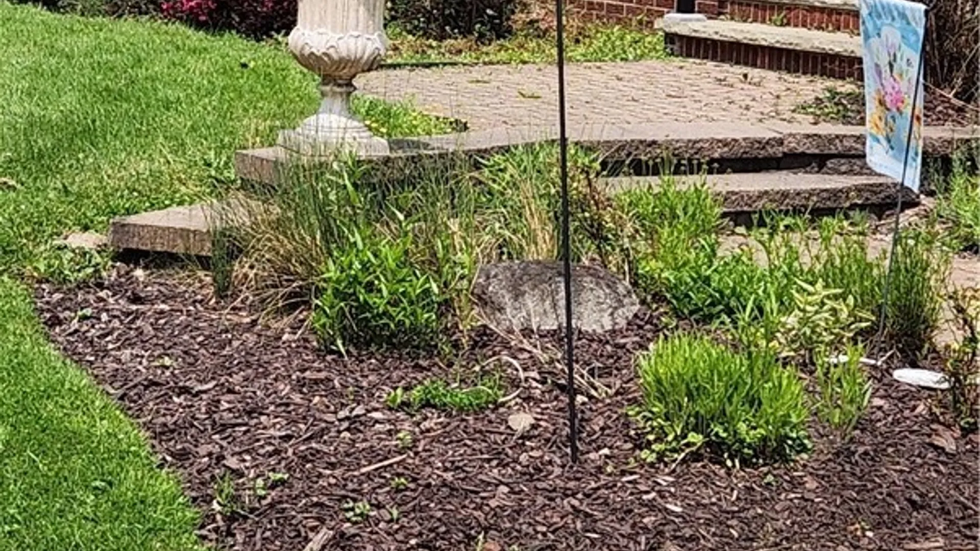 Property at 11 Alfred Street, Jamestown, NY 14701 7