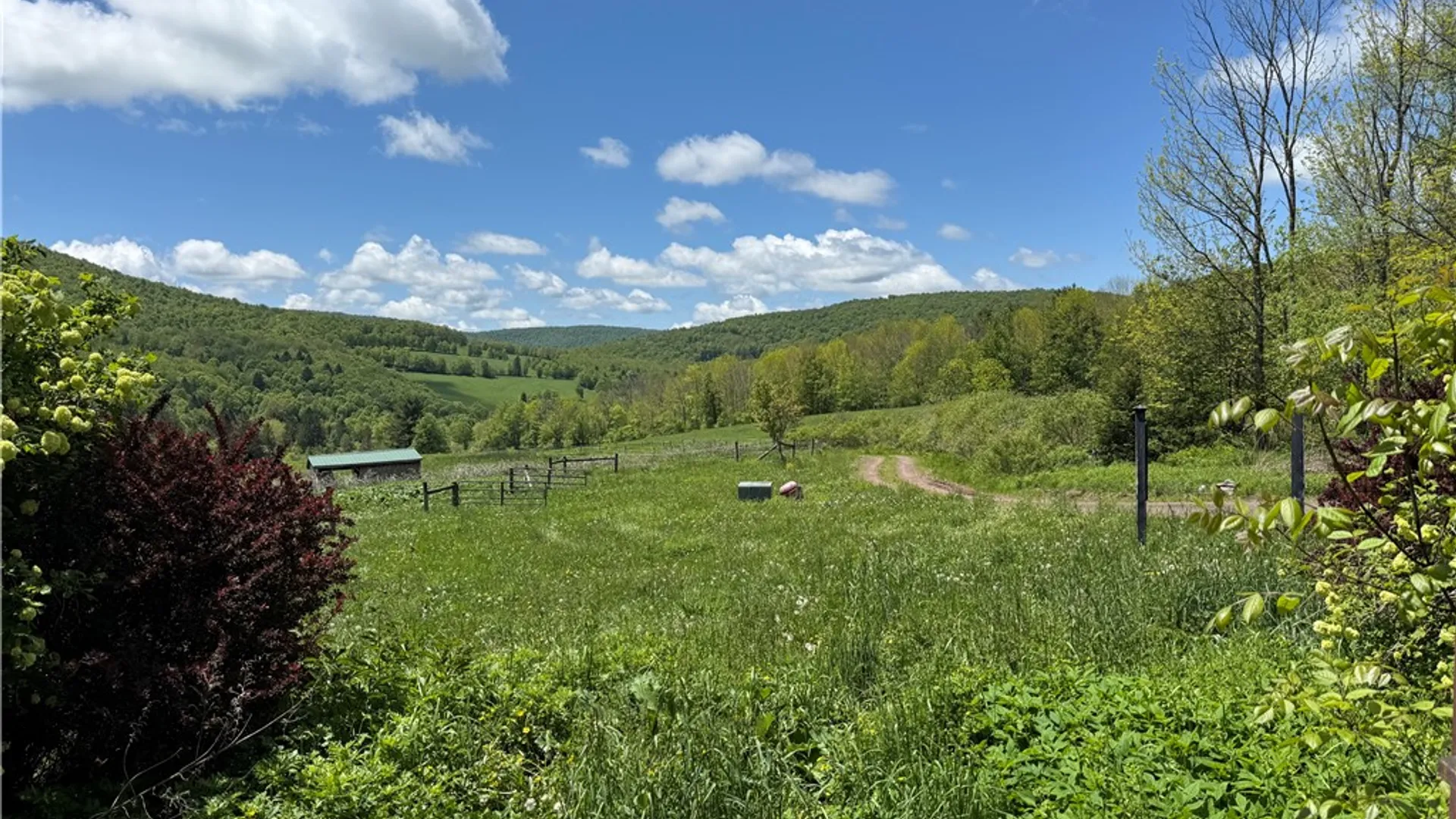 Property at 1039 Mountain Brook Road, Bovina, NY 13740 3