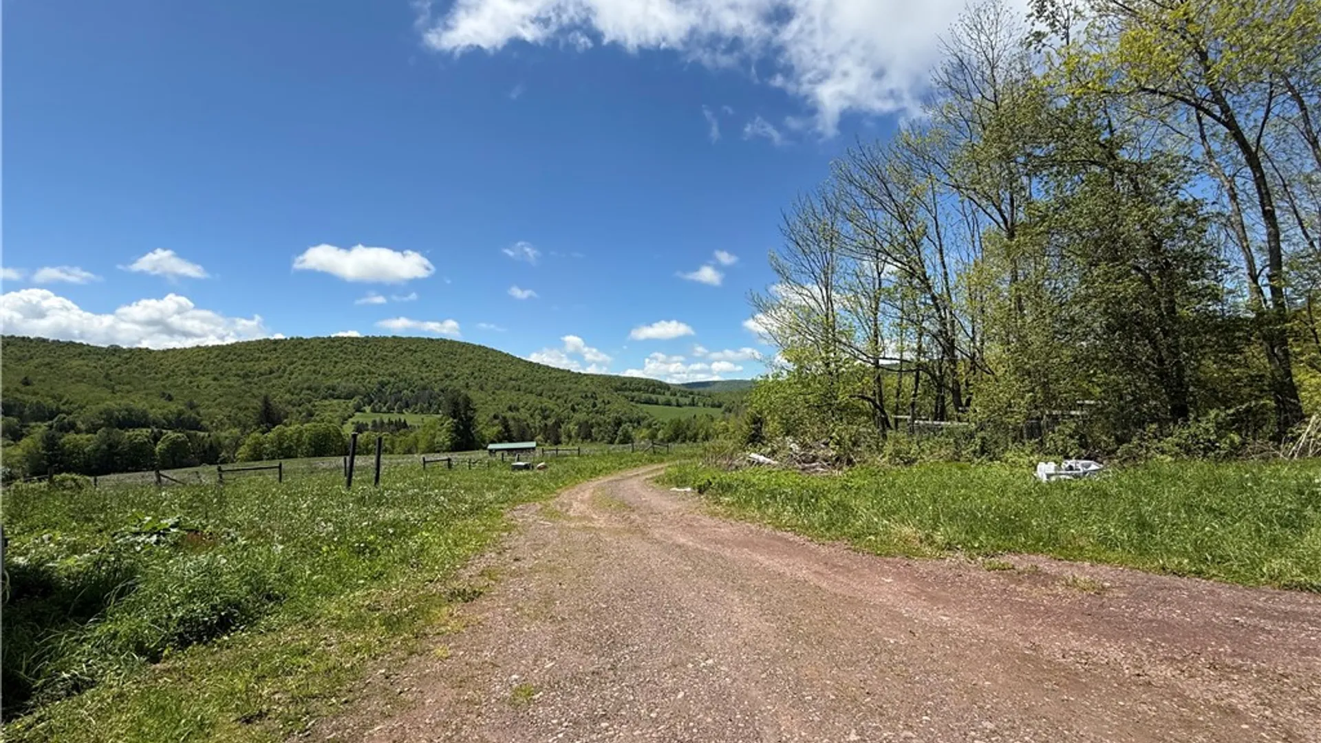 Property at 1039 Mountain Brook Road, Bovina, NY 13740 6