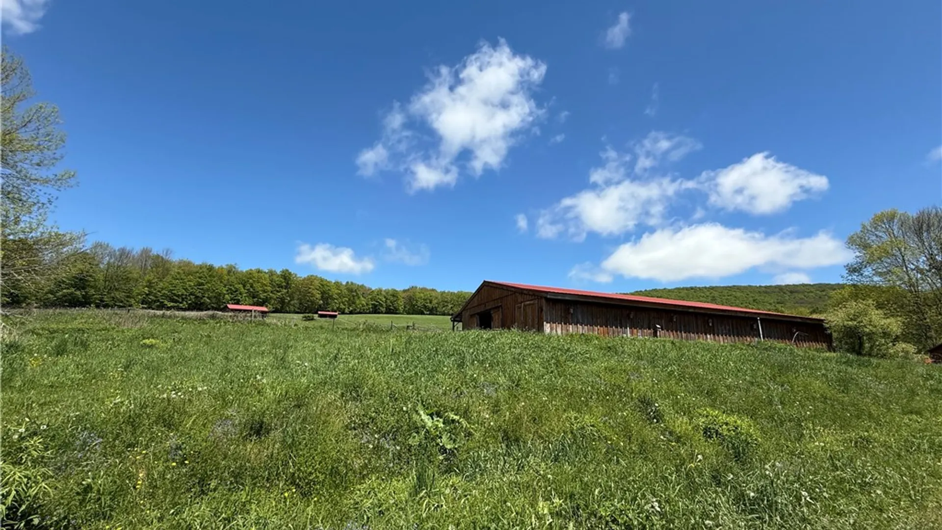 Property at 1039 Mountain Brook Road, Bovina, NY 13740 8