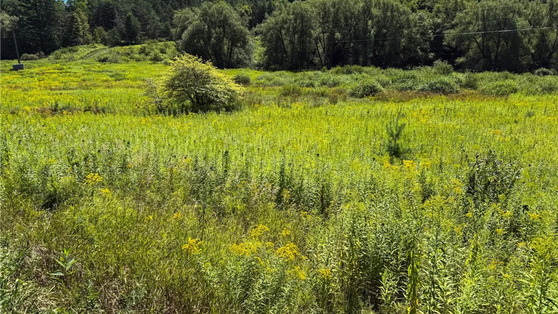 Property at 6 County Highway 12, Laurens, NY 13796 19