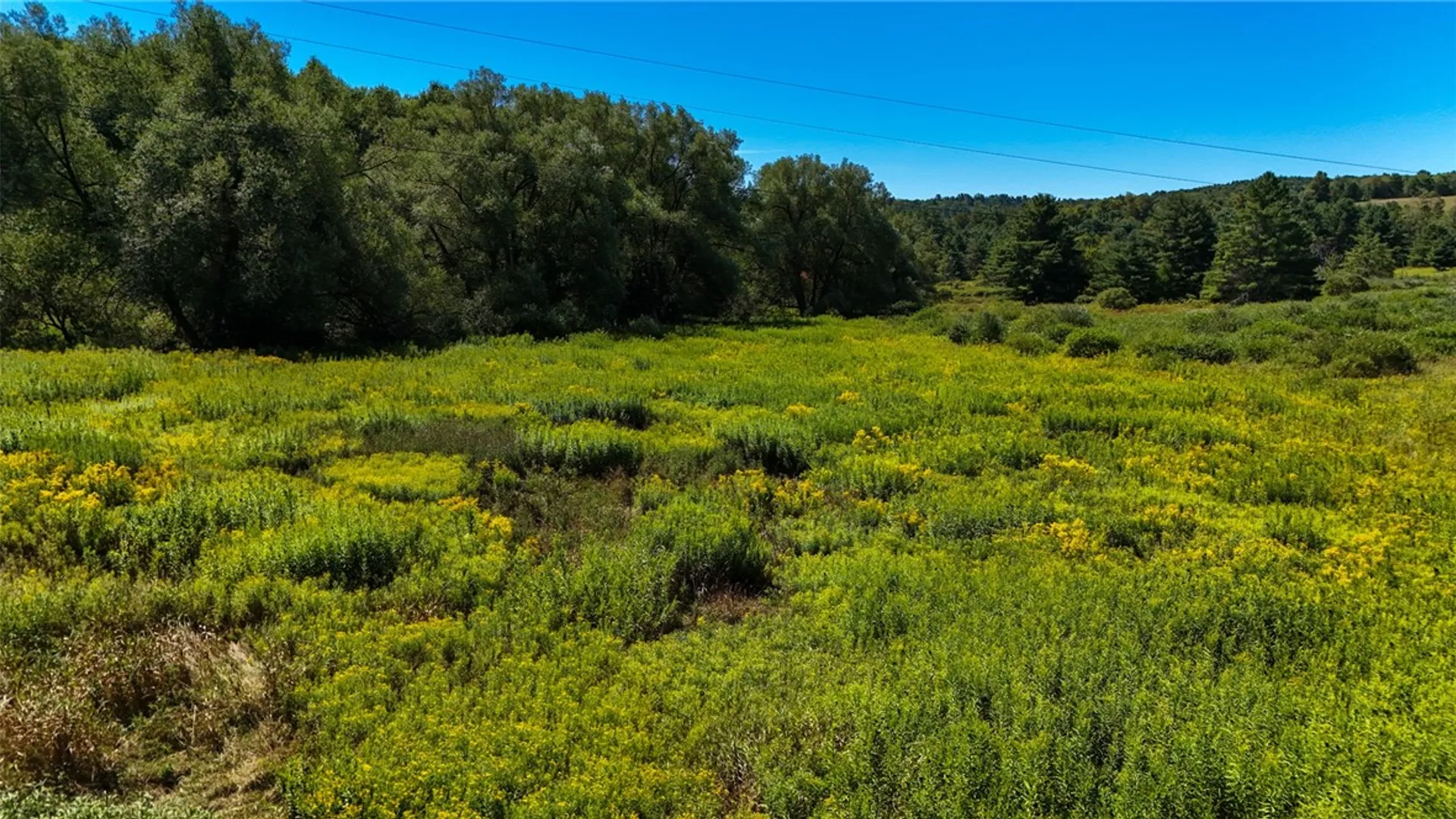 Property at 6 County Highway 12, Laurens, NY 13796 2