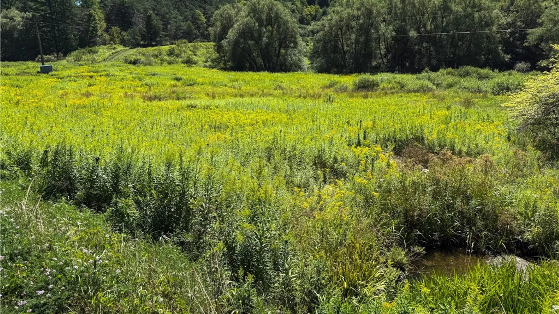 Property at 6 County Highway 12, Laurens, NY 13796 21