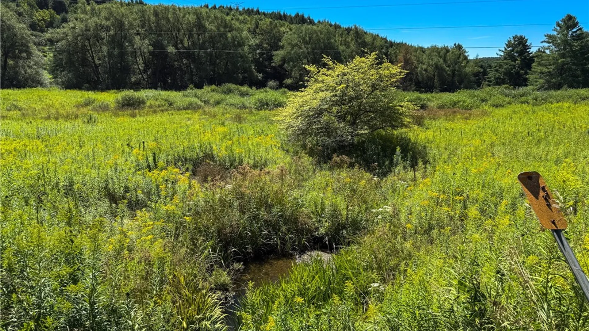 Property at 6 County Highway 12, Laurens, NY 13796 22