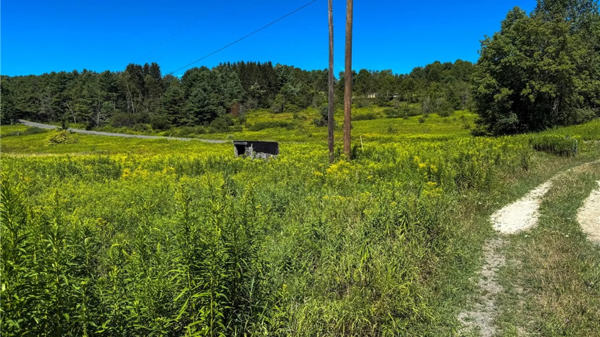 Property at 6 County Highway 12, Laurens, NY 13796 23