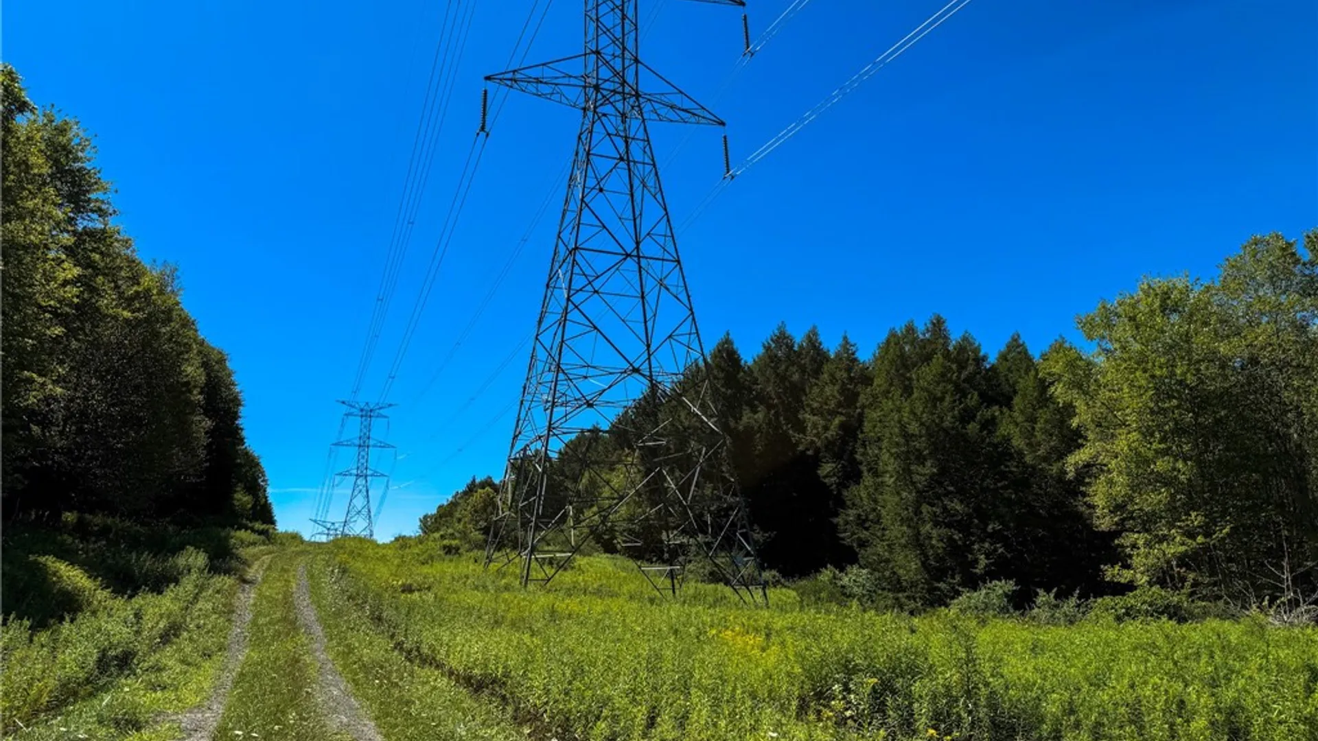 Property at 6 County Highway 12, Laurens, NY 13796 24