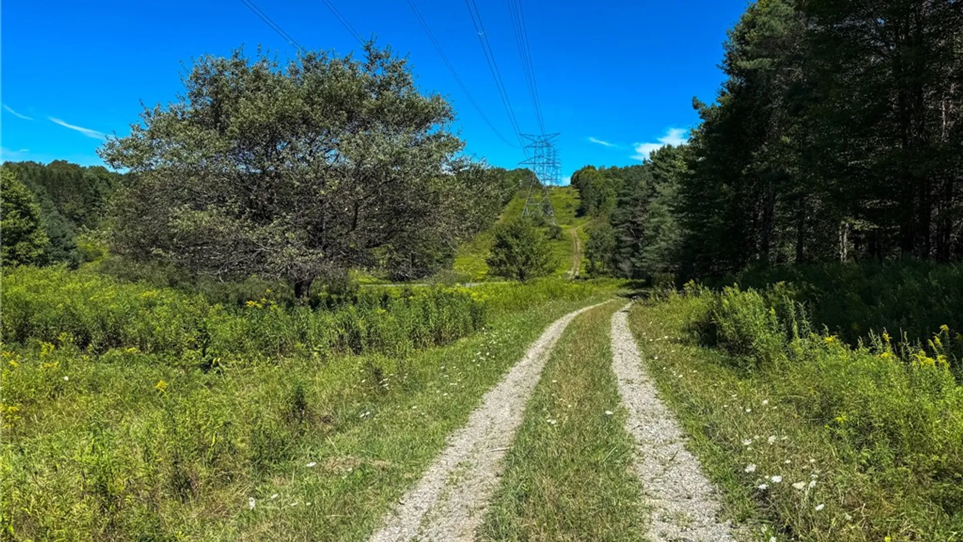 Property at 6 County Highway 12, Laurens, NY 13796 25