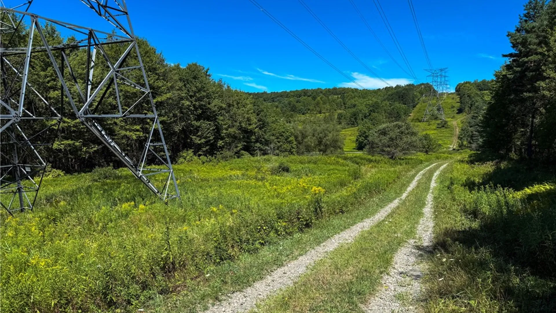 Property at 6 County Highway 12, Laurens, NY 13796 27