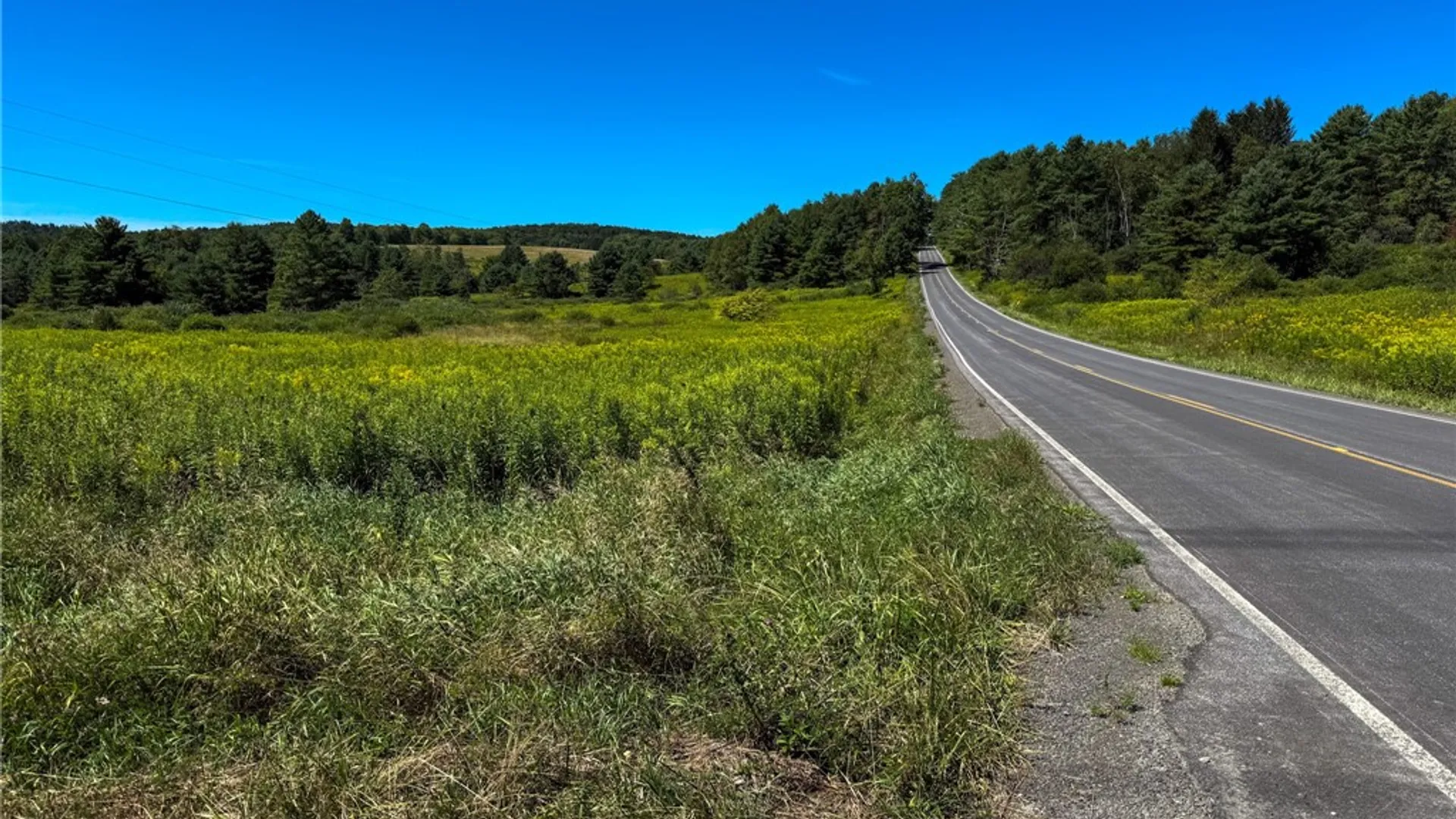 Property at 6 County Highway 12, Laurens, NY 13796 28